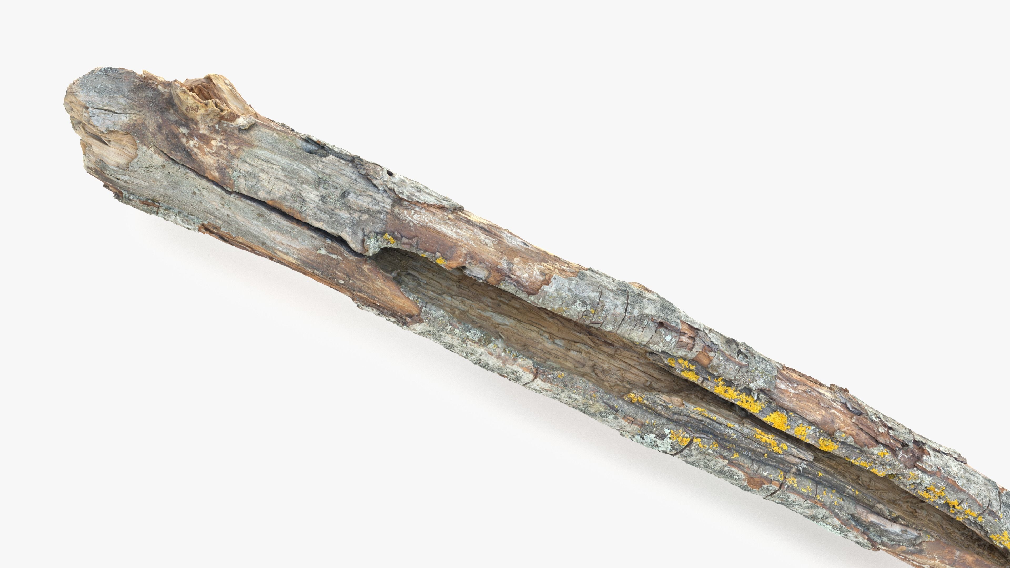 Long Weathered Alder Log Low-poly 3D model_3