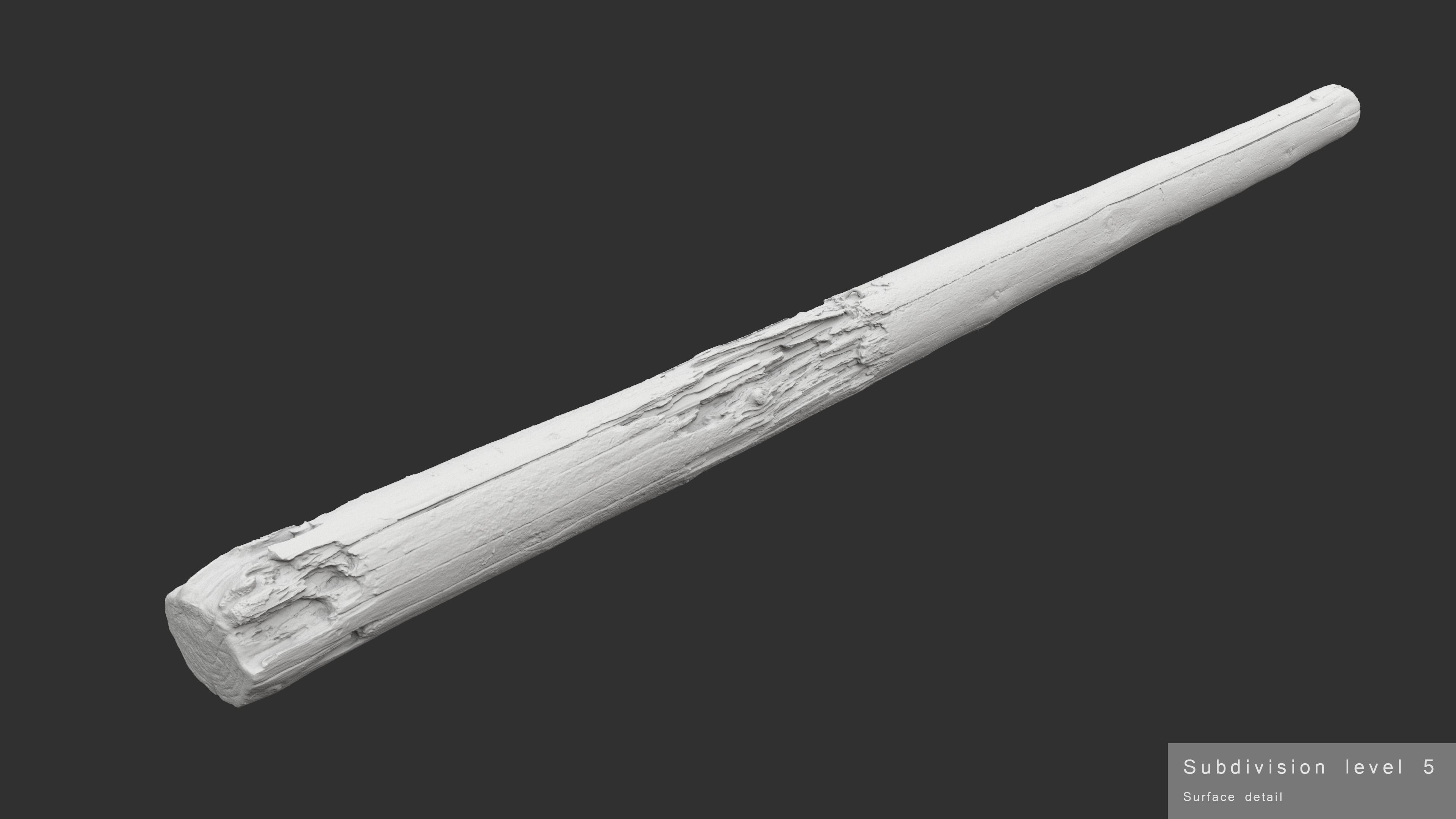 Rotten Pine Log with Lichen Low-poly 3D model_17