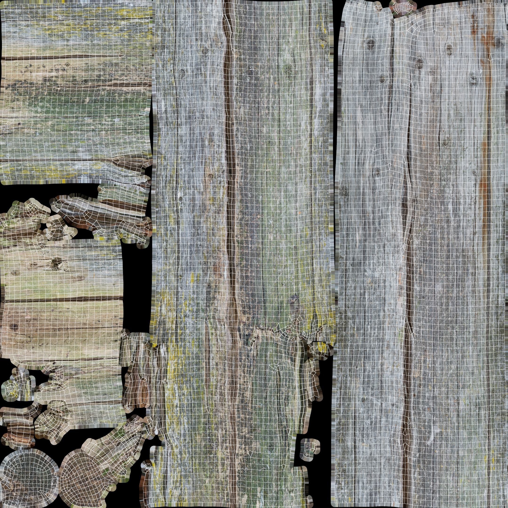 Rotten Pine Log with Lichen Low-poly 3D model_30