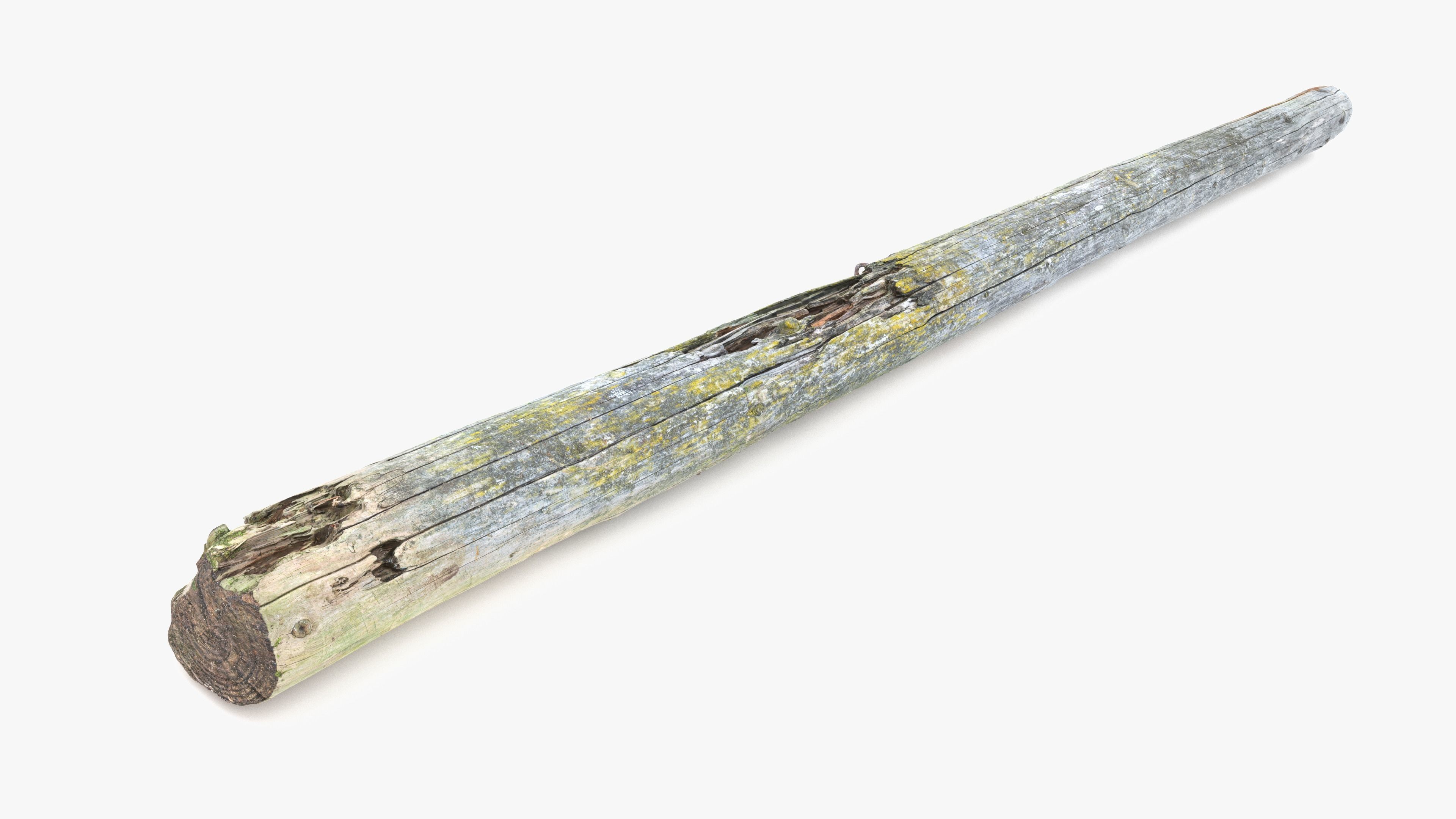 Rotten Pine Log with Lichen Low-poly 3D model_4