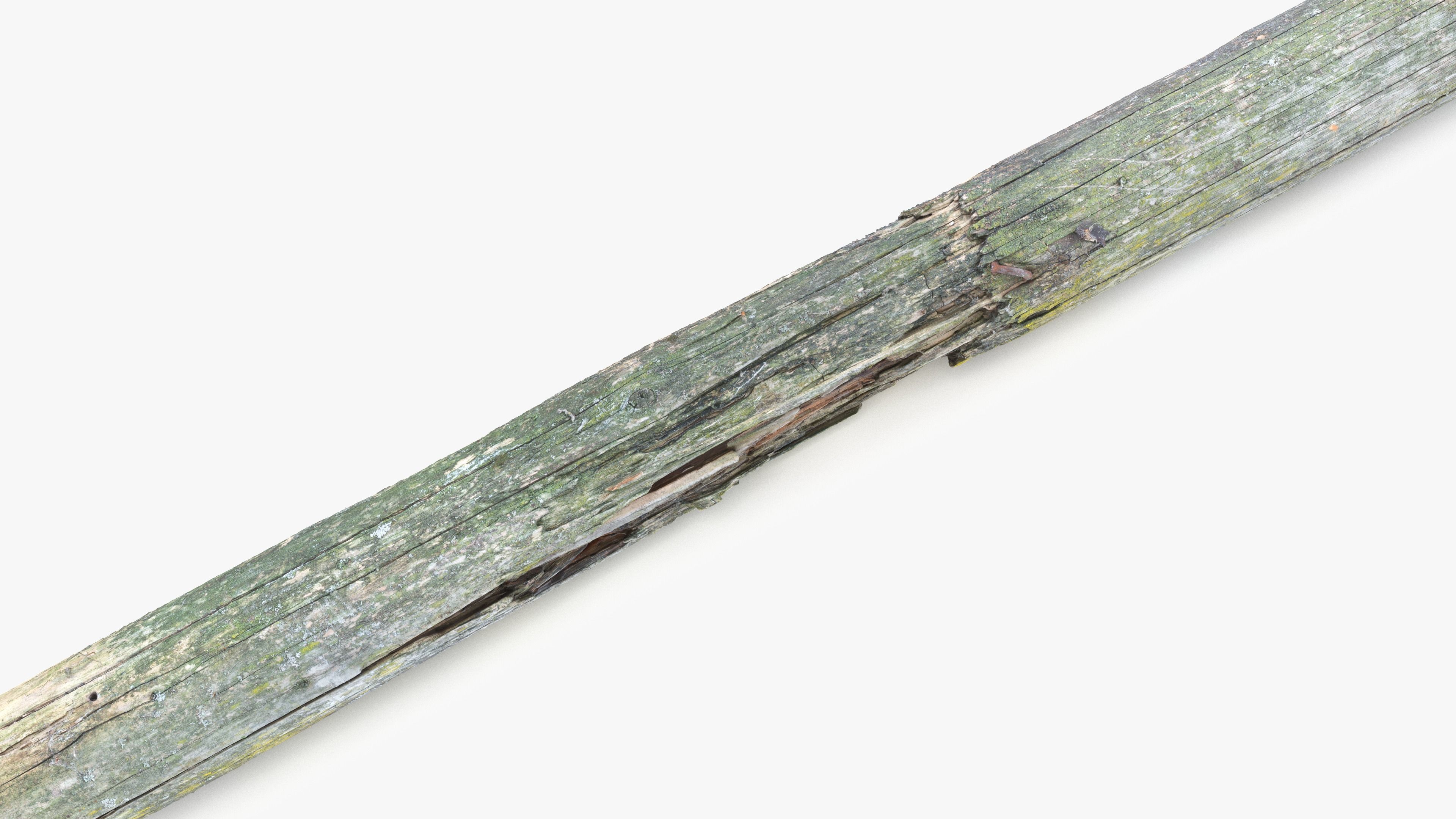 Rotten Pine Log with Lichen Low-poly 3D model_9