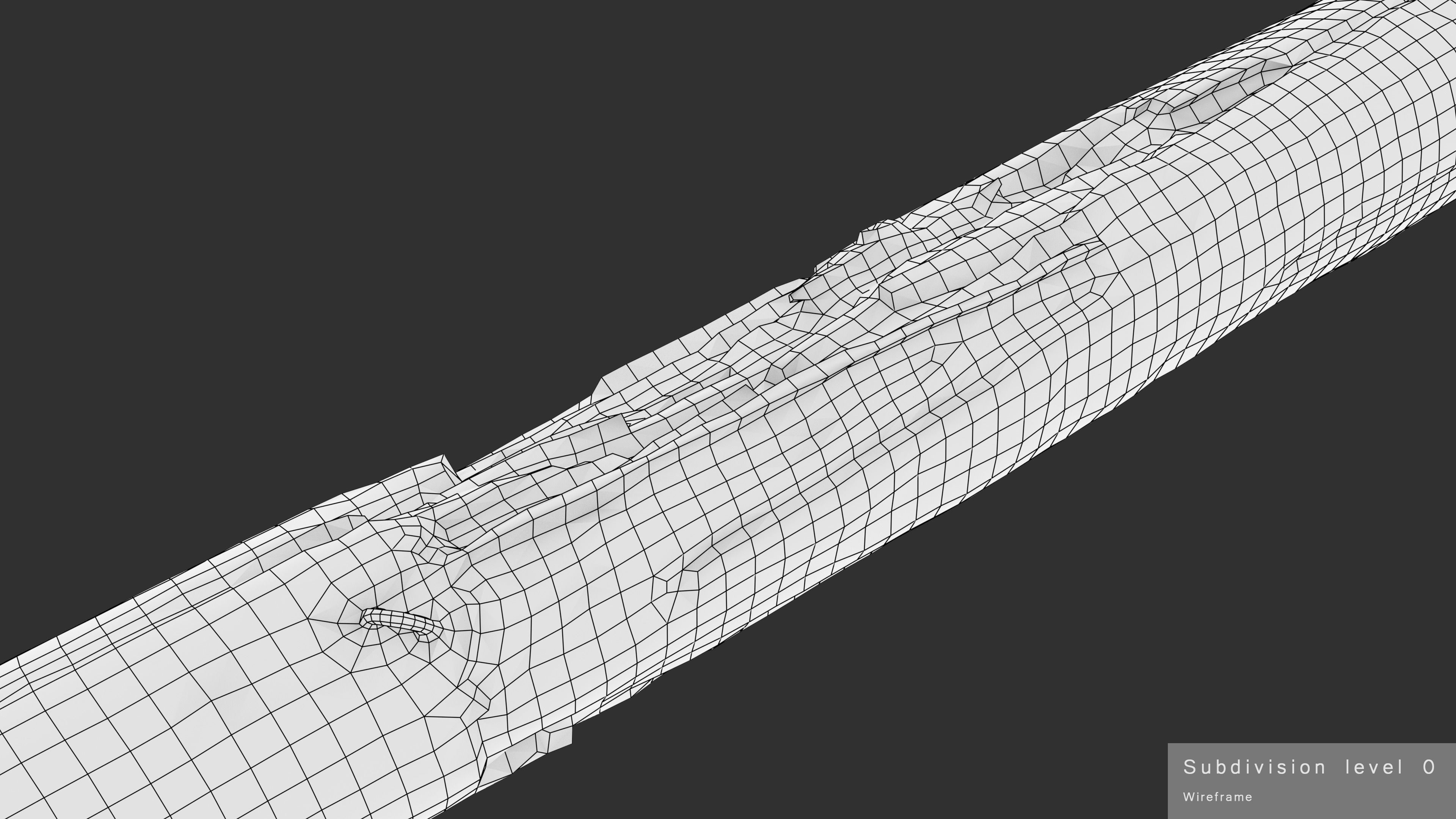 Rotten Pine Log with Lichen Low-poly 3D model_27