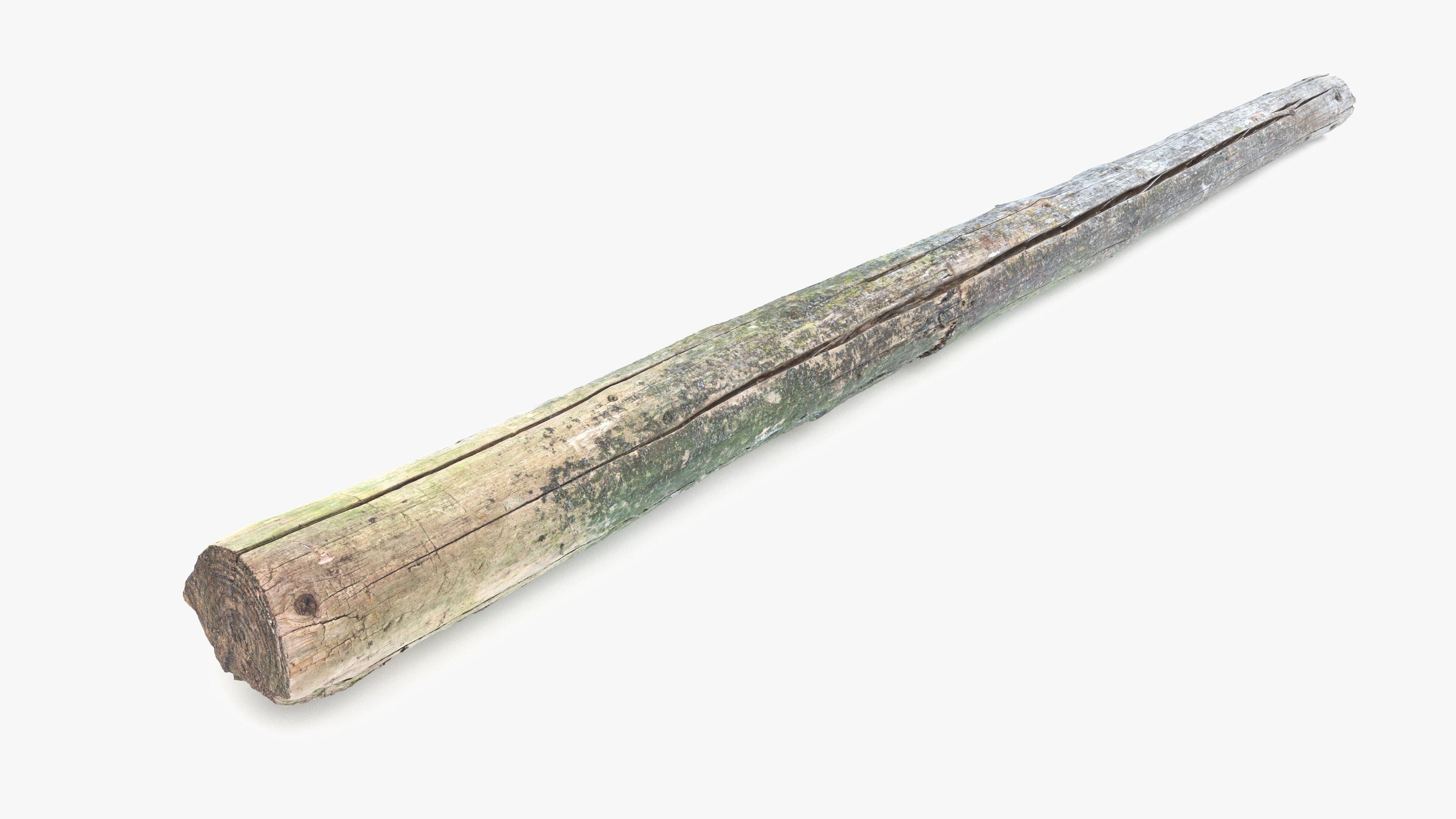 Rotten Pine Log with Lichen Low-poly 3D model_3