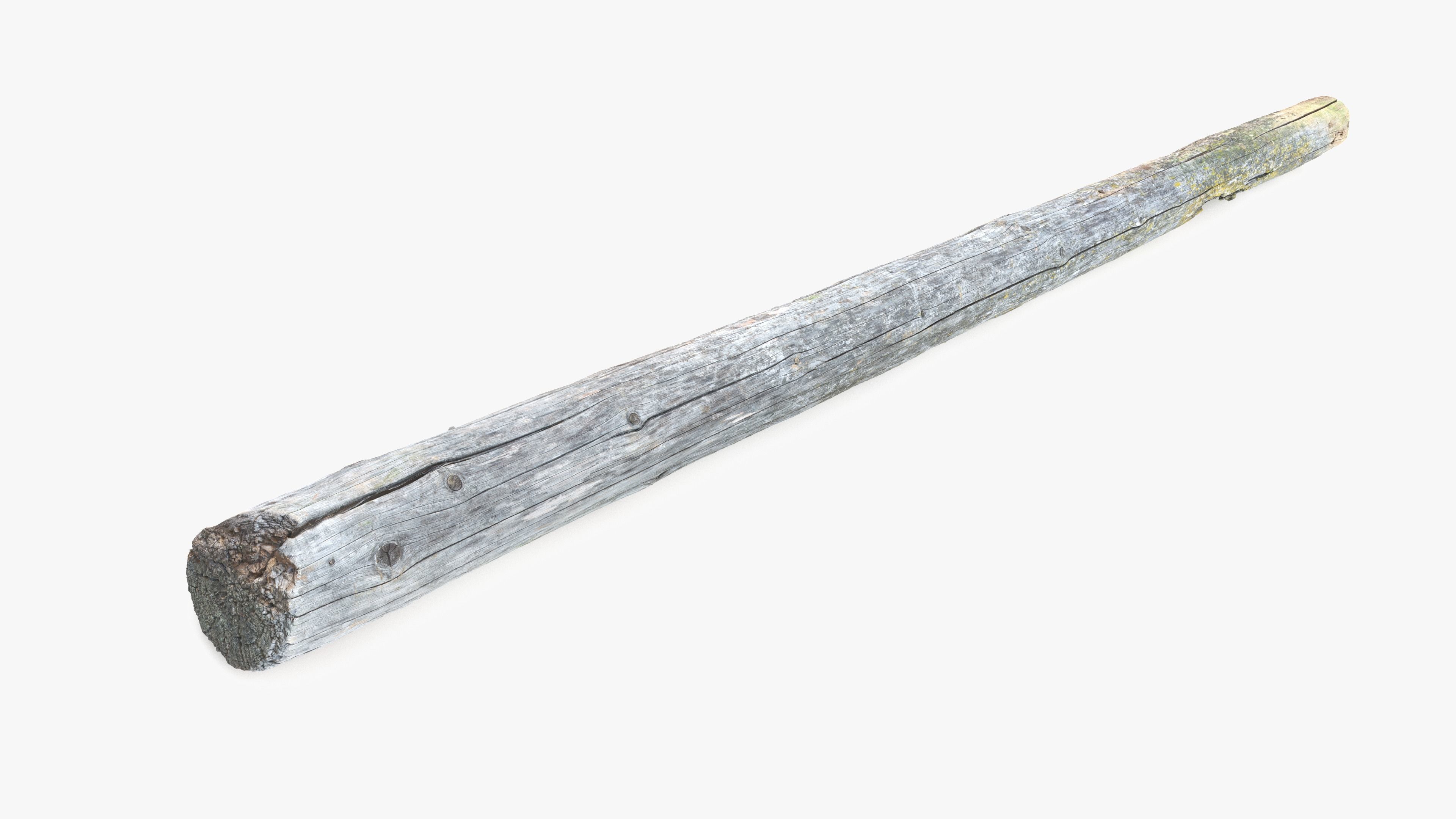 Rotten Pine Log with Lichen Low-poly 3D model_6