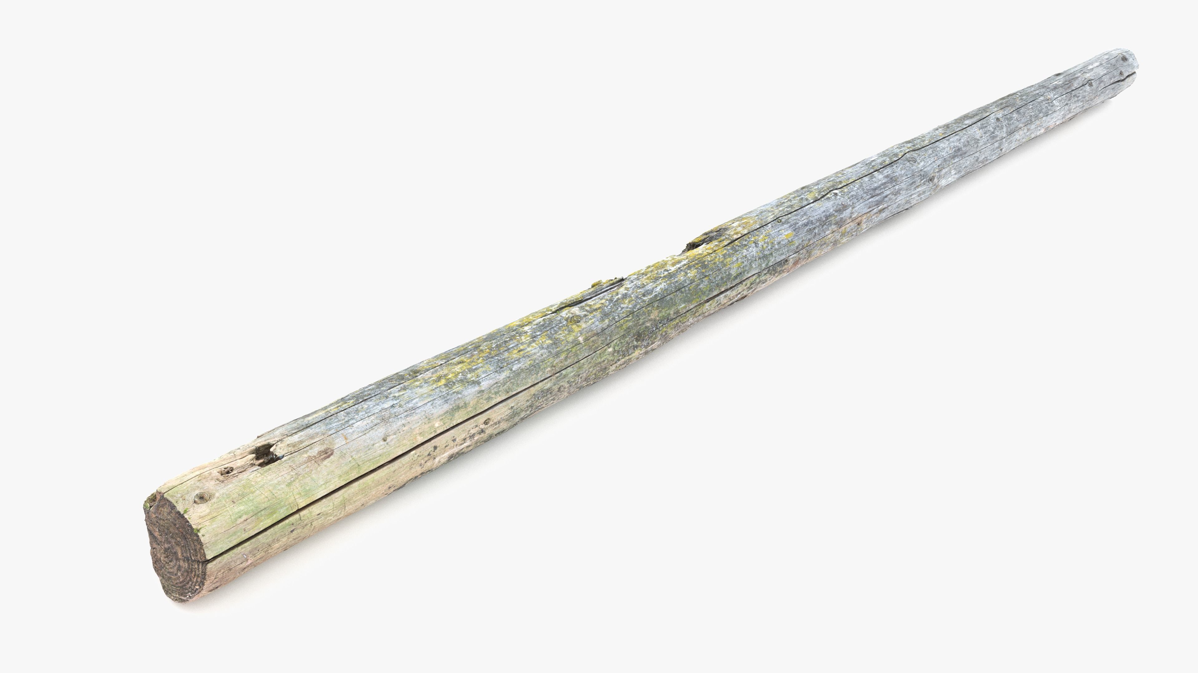 Rotten Pine Log with Lichen Low-poly 3D model_15