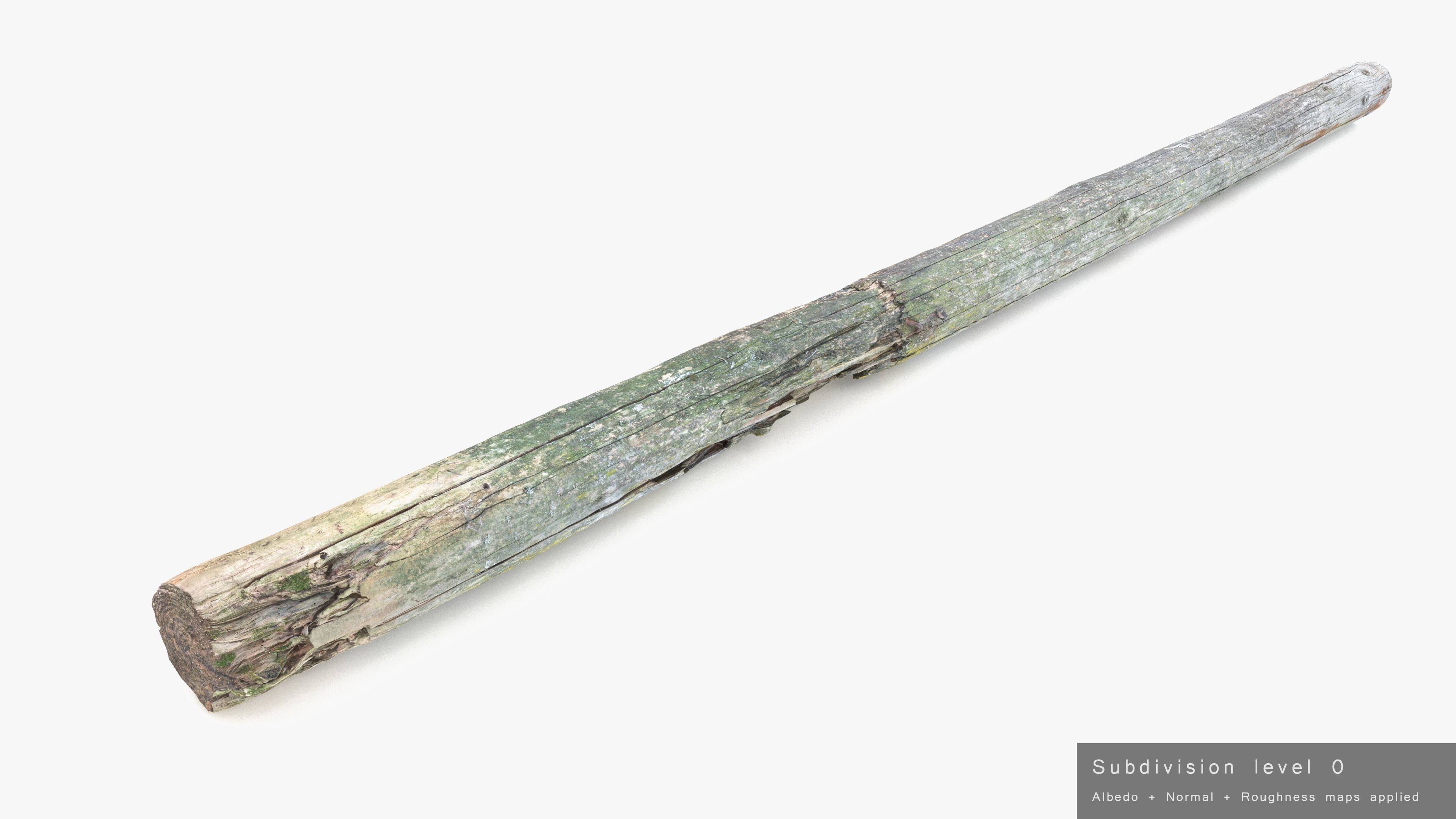 Rotten Pine Log with Lichen Low-poly 3D model_21