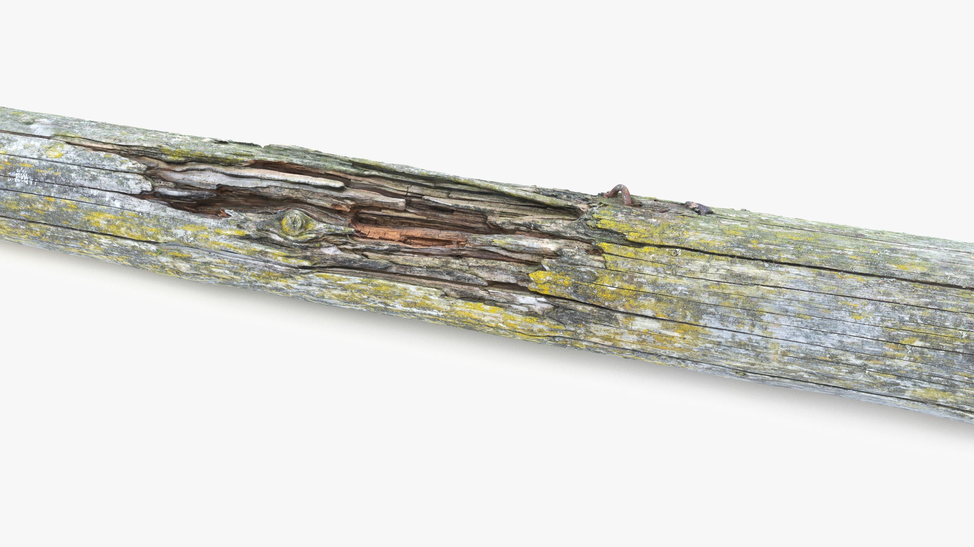 Rotten Pine Log with Lichen Low-poly 3D model_10