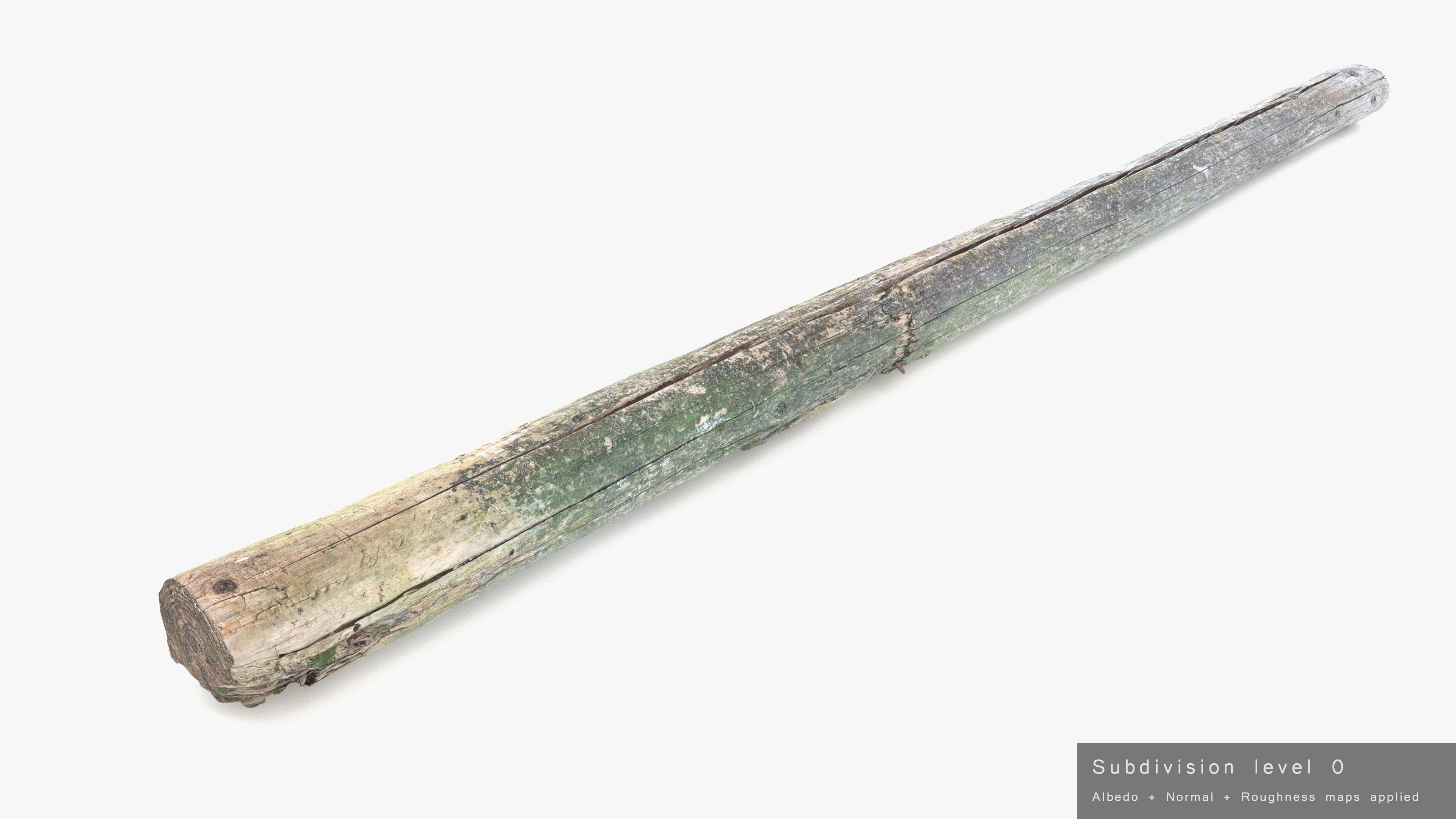 Rotten Pine Log with Lichen Low-poly 3D model_22