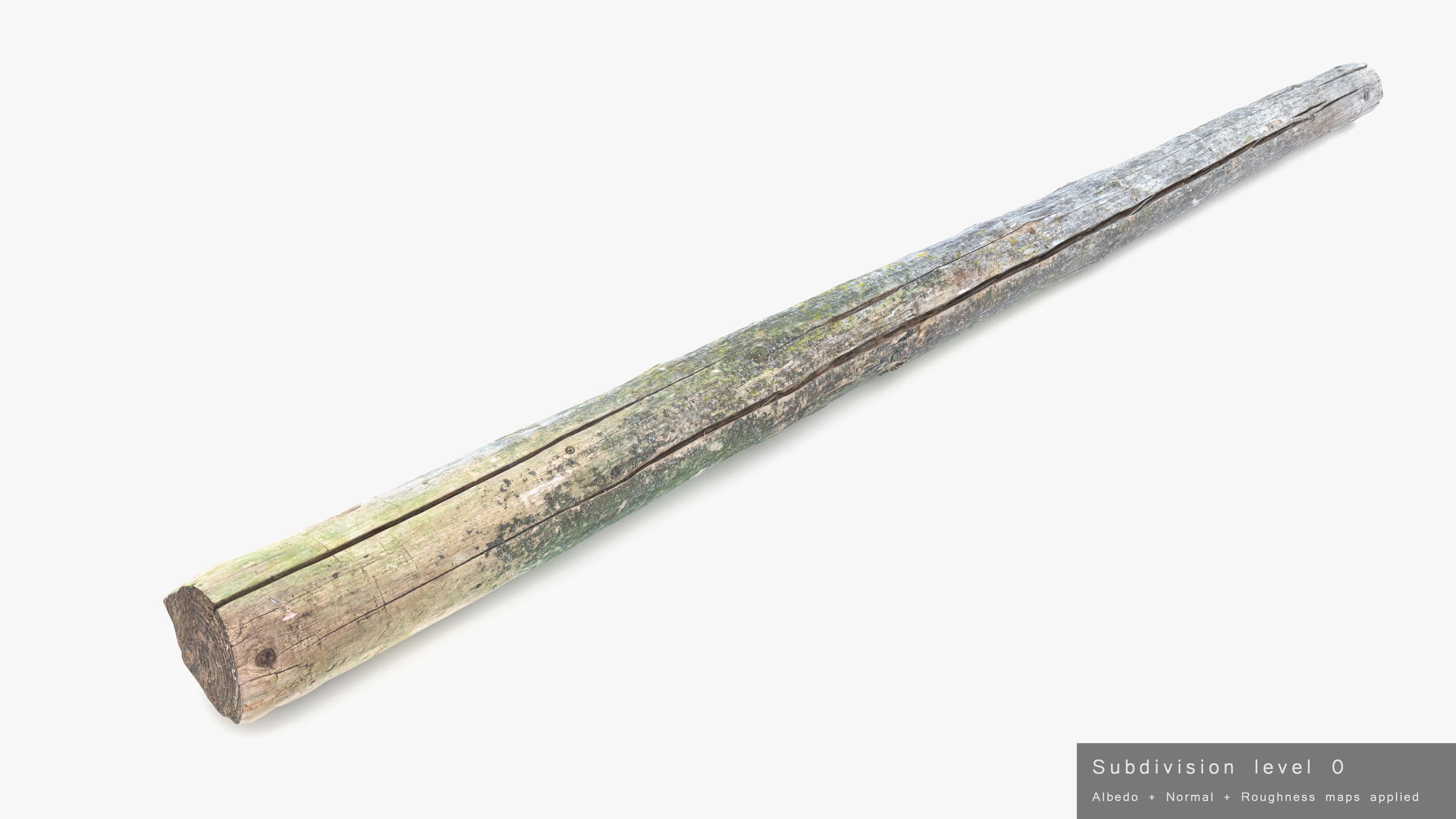 Rotten Pine Log with Lichen Low-poly 3D model_23