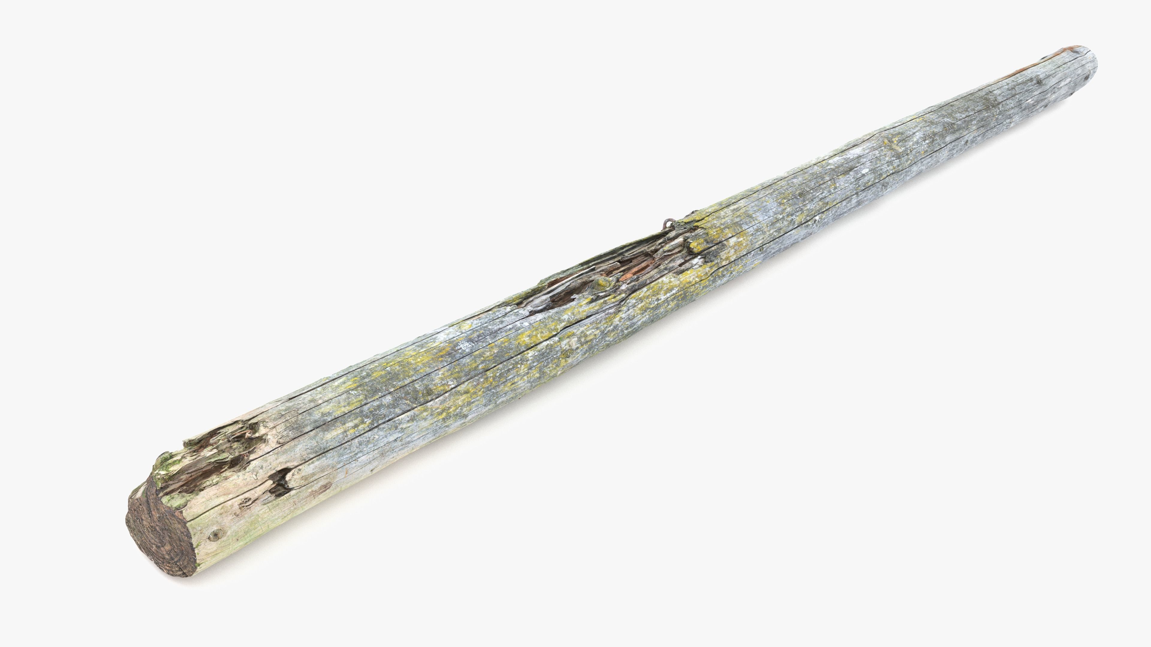 Rotten Pine Log with Lichen Low-poly 3D model_16