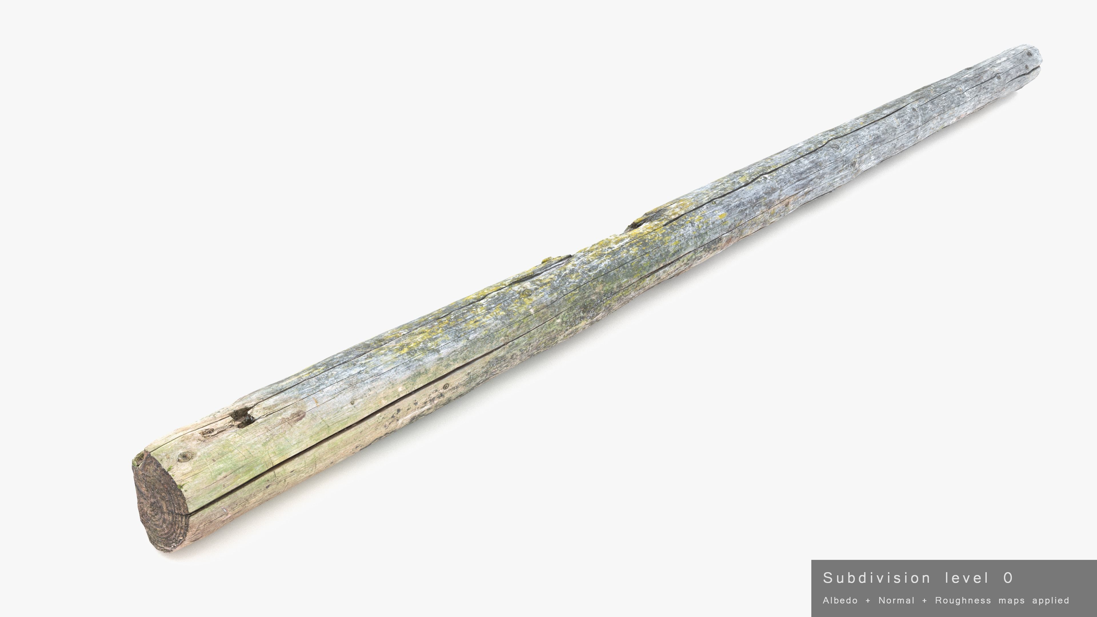 Rotten Pine Log with Lichen Low-poly 3D model_18