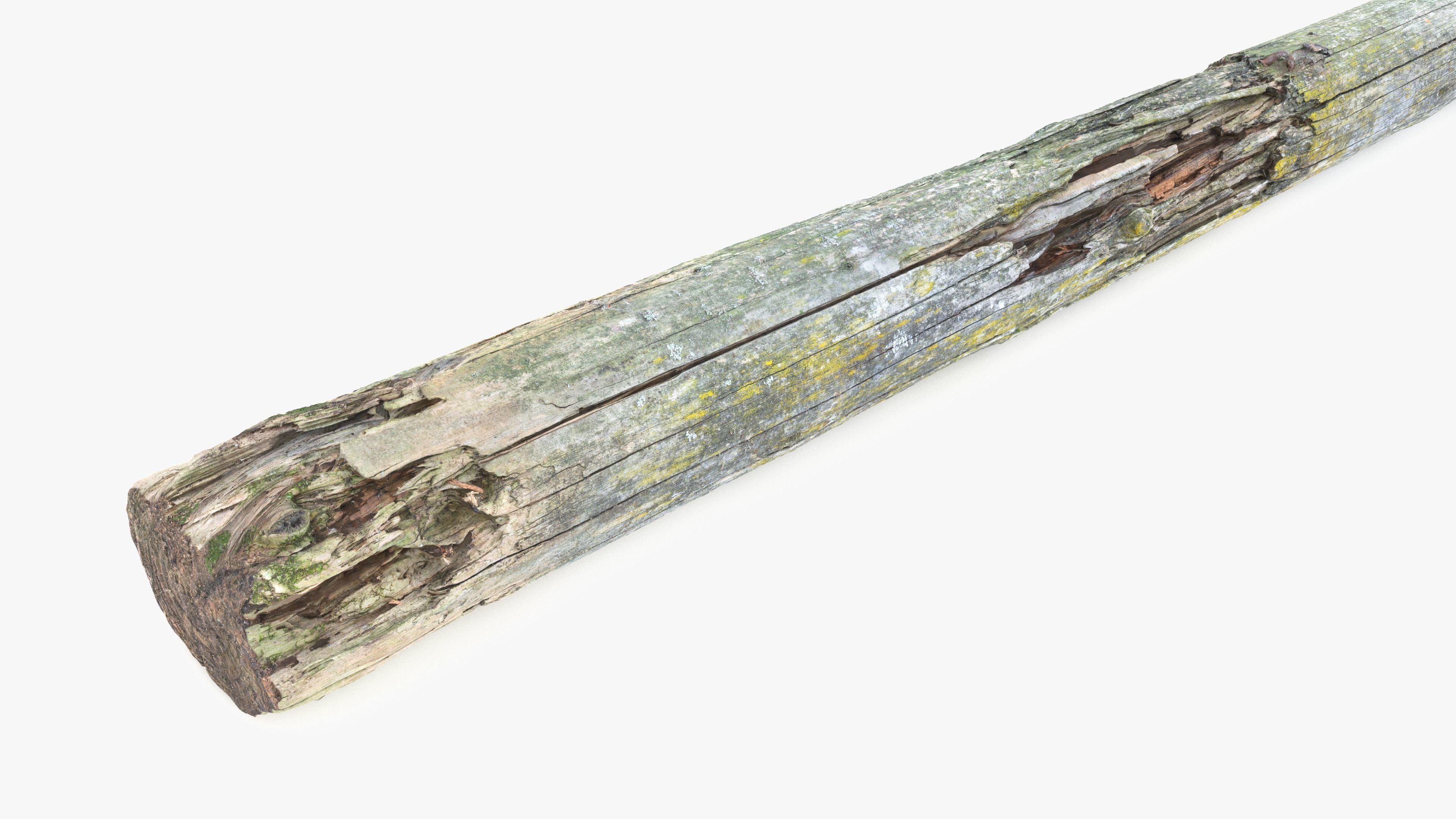 Rotten Pine Log with Lichen Low-poly 3D model_8