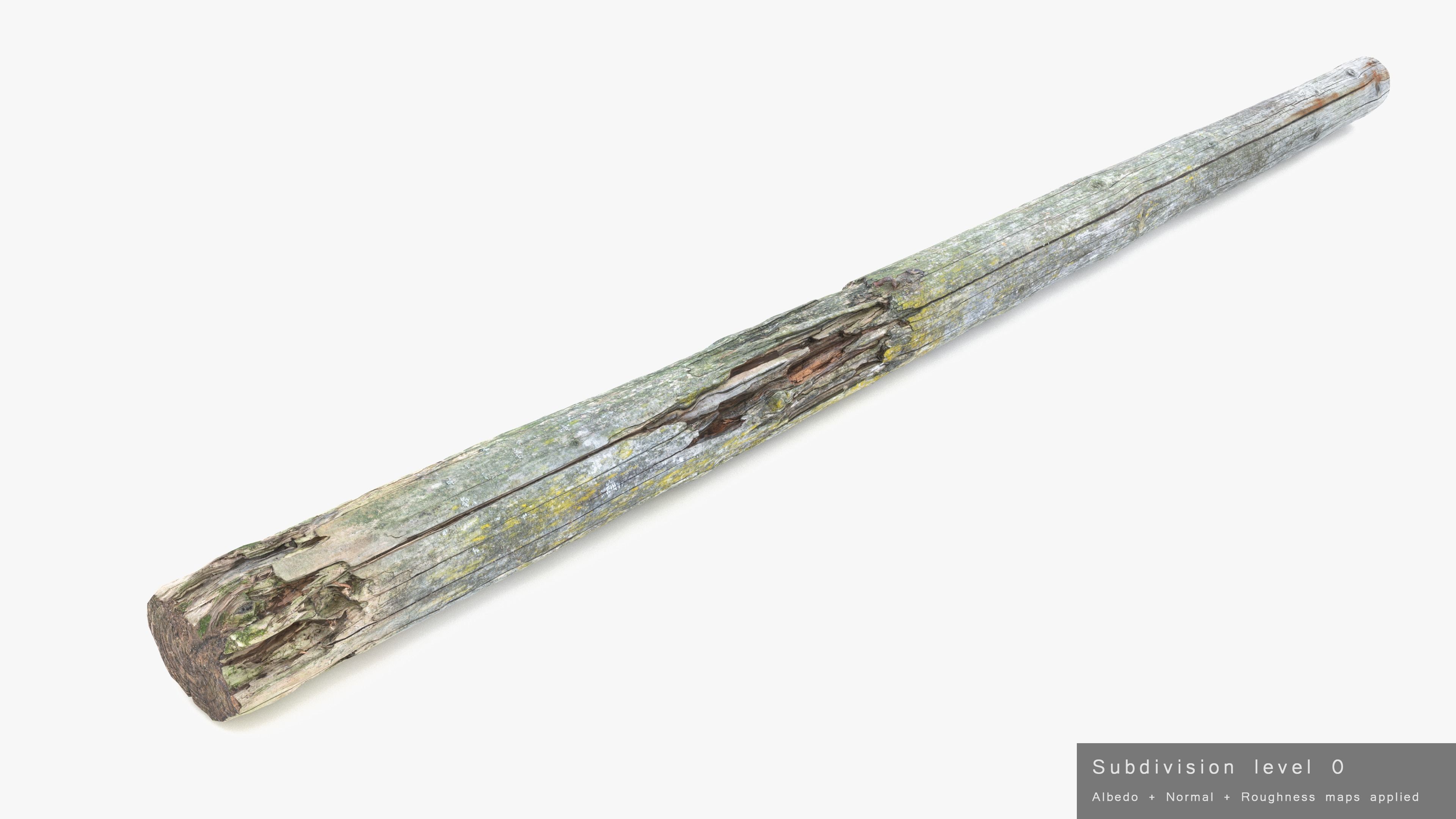 Rotten Pine Log with Lichen Low-poly 3D model_20