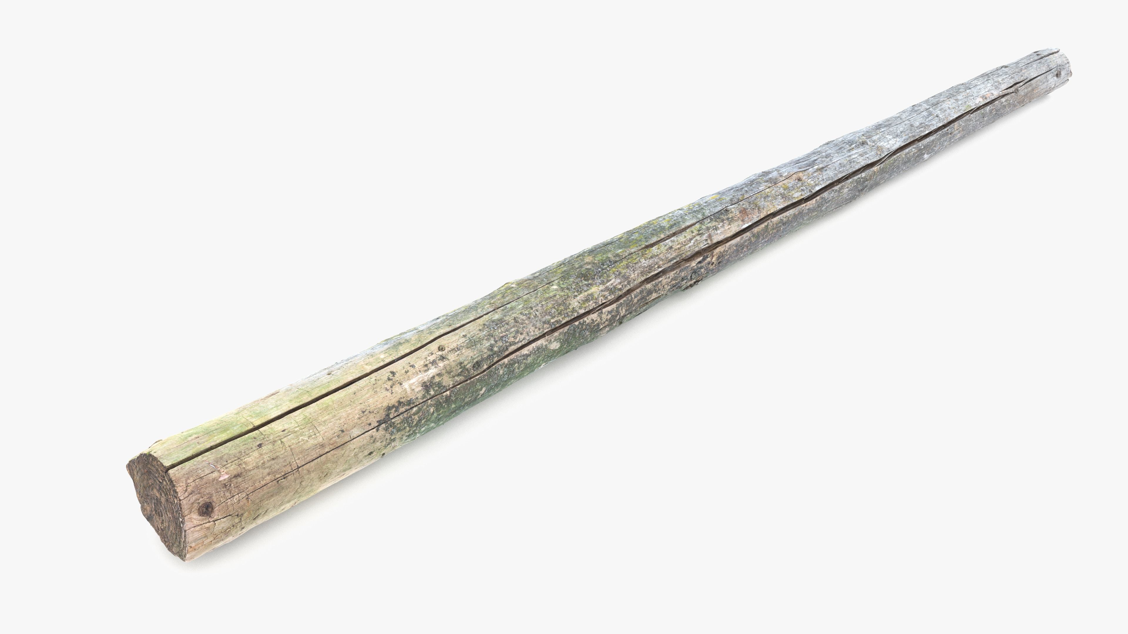 Rotten Pine Log with Lichen Low-poly 3D model_14