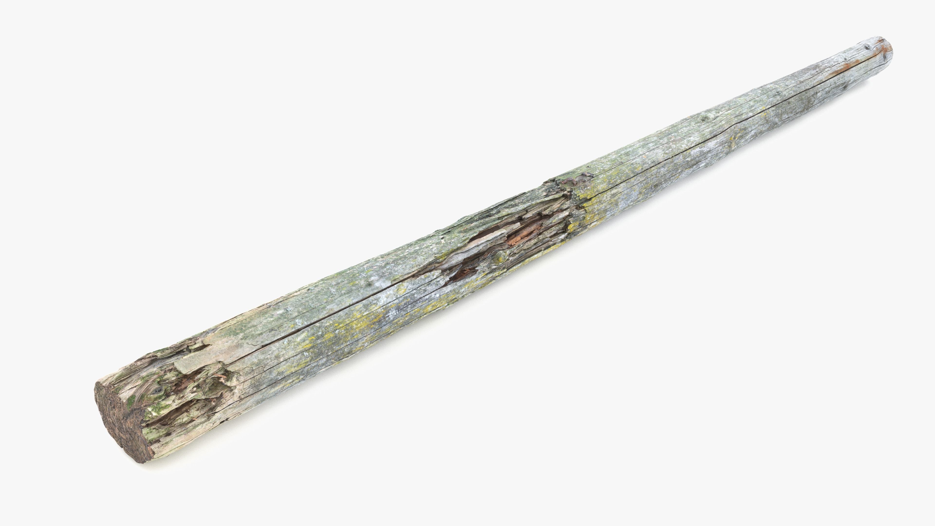 Rotten Pine Log with Lichen Low-poly 3D model_11