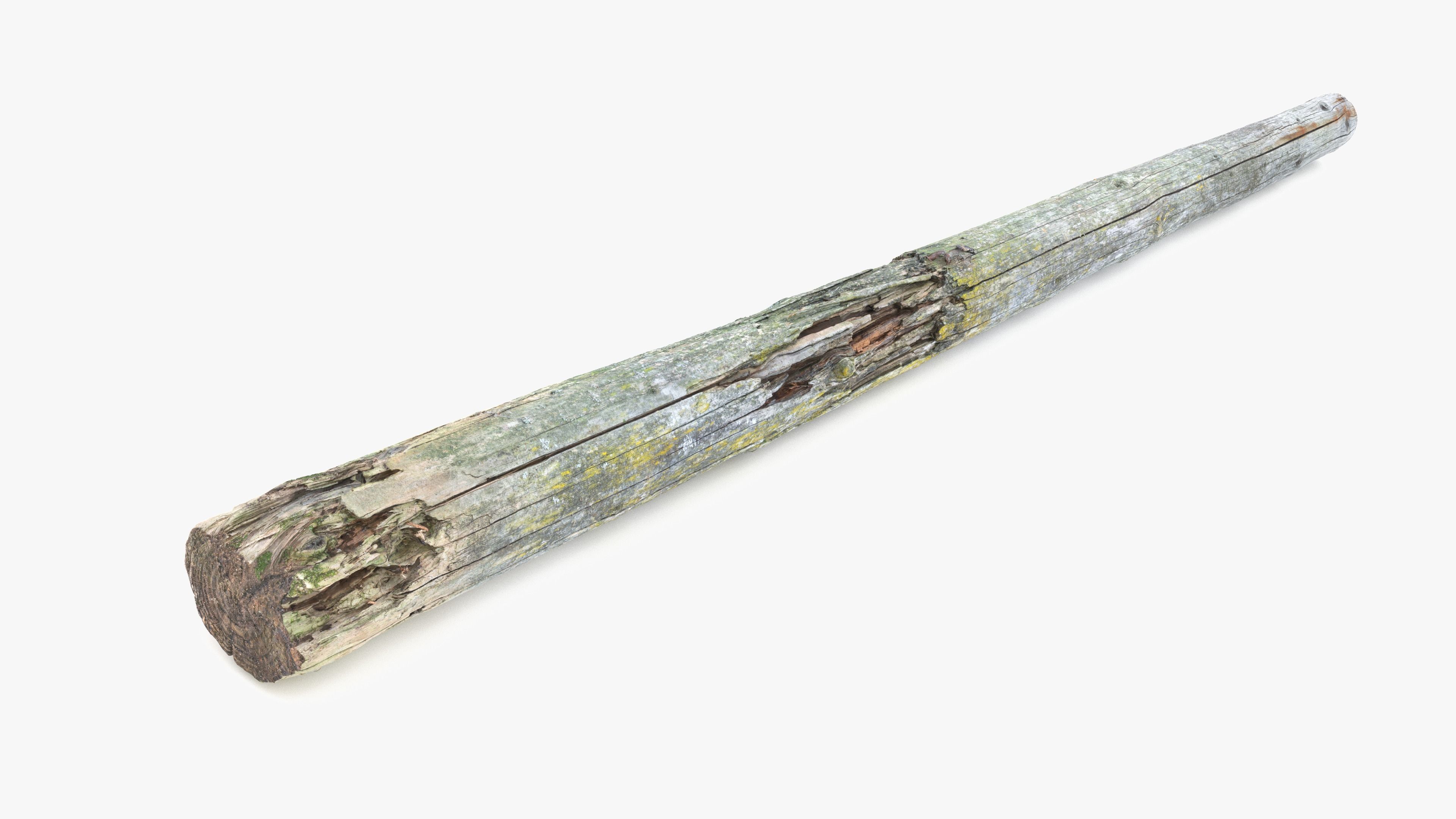 Rotten Pine Log with Lichen Low-poly 3D model_1