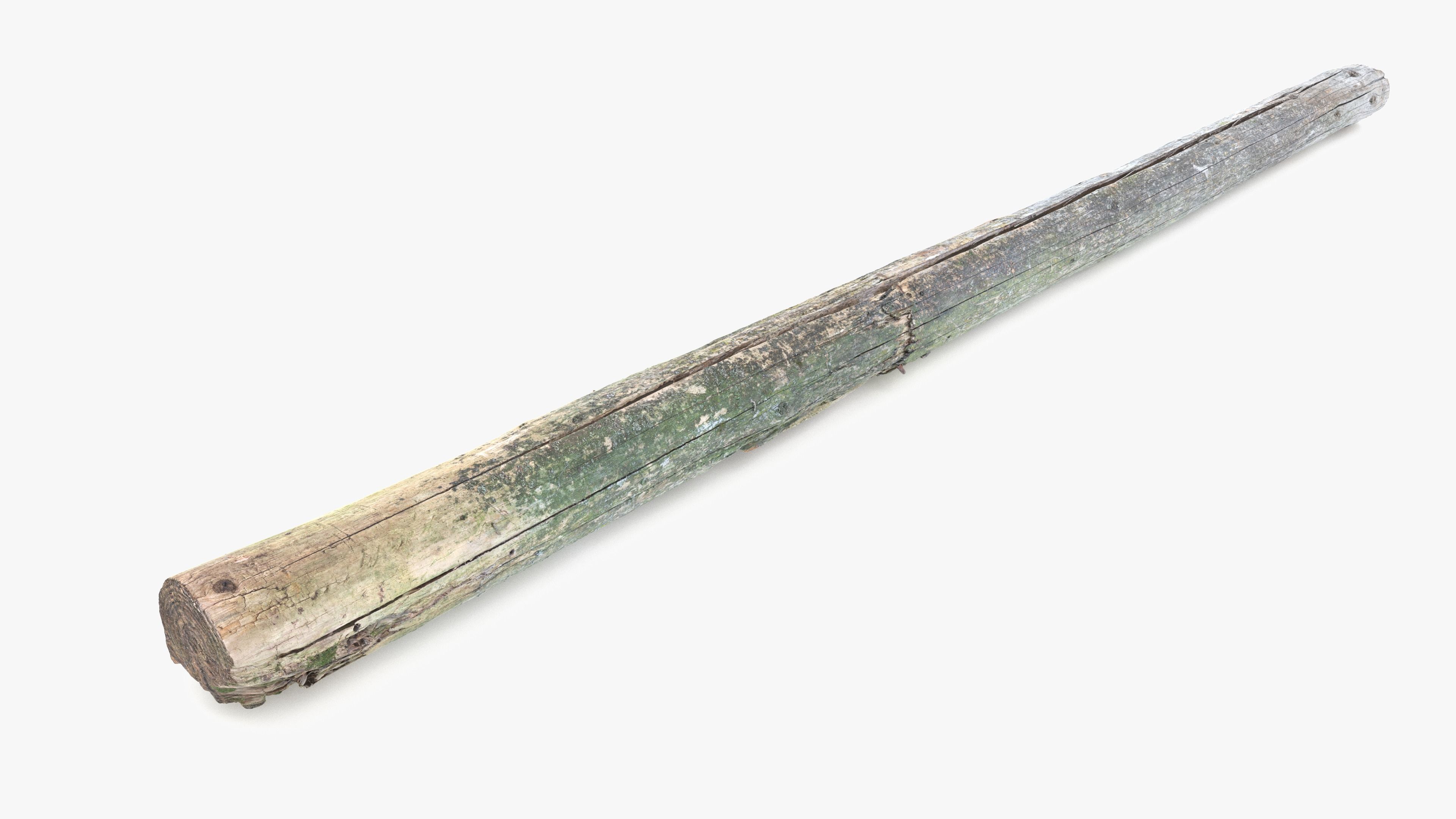 Rotten Pine Log with Lichen Low-poly 3D model_13