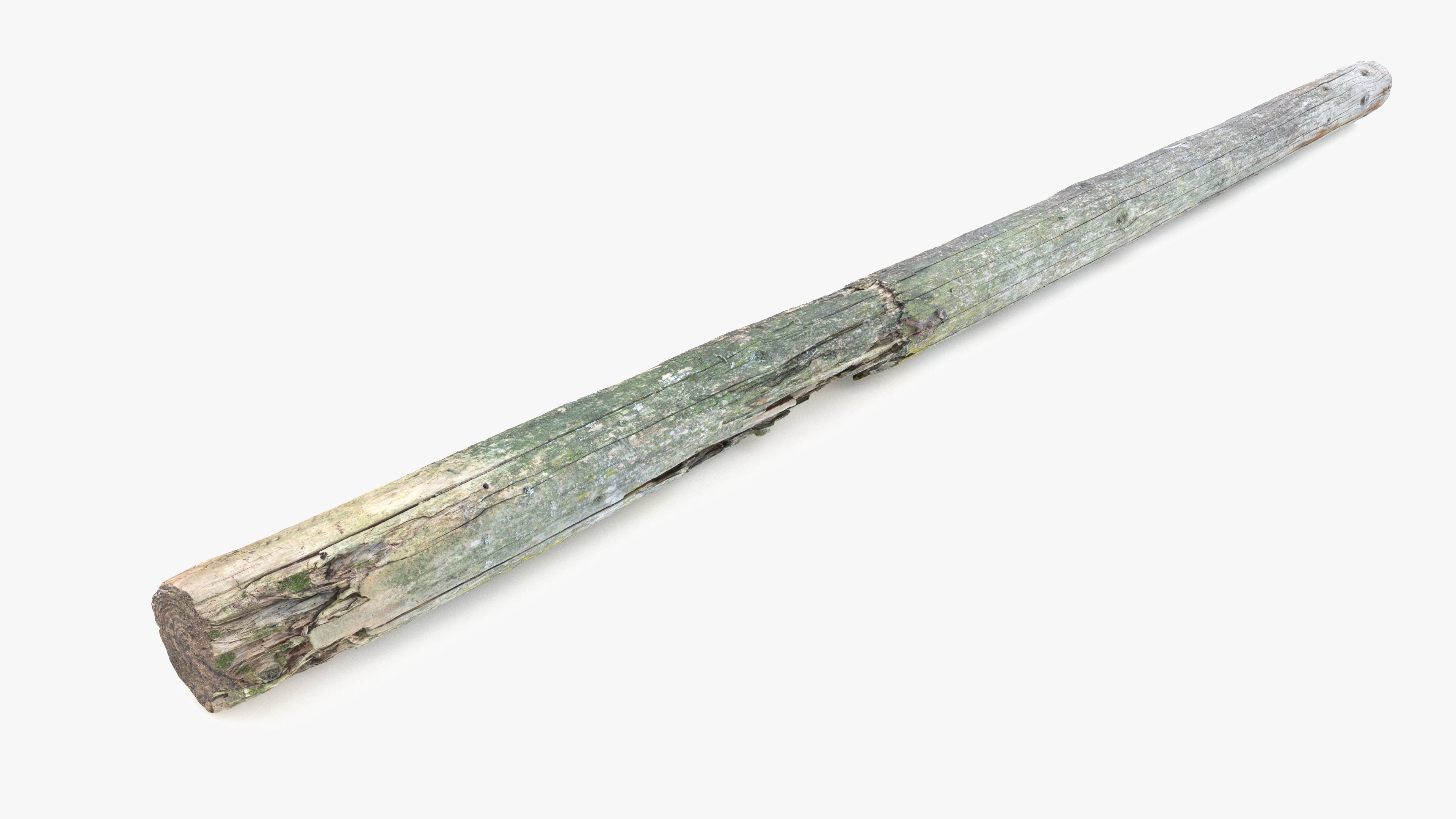 Rotten Pine Log with Lichen Low-poly 3D model_12