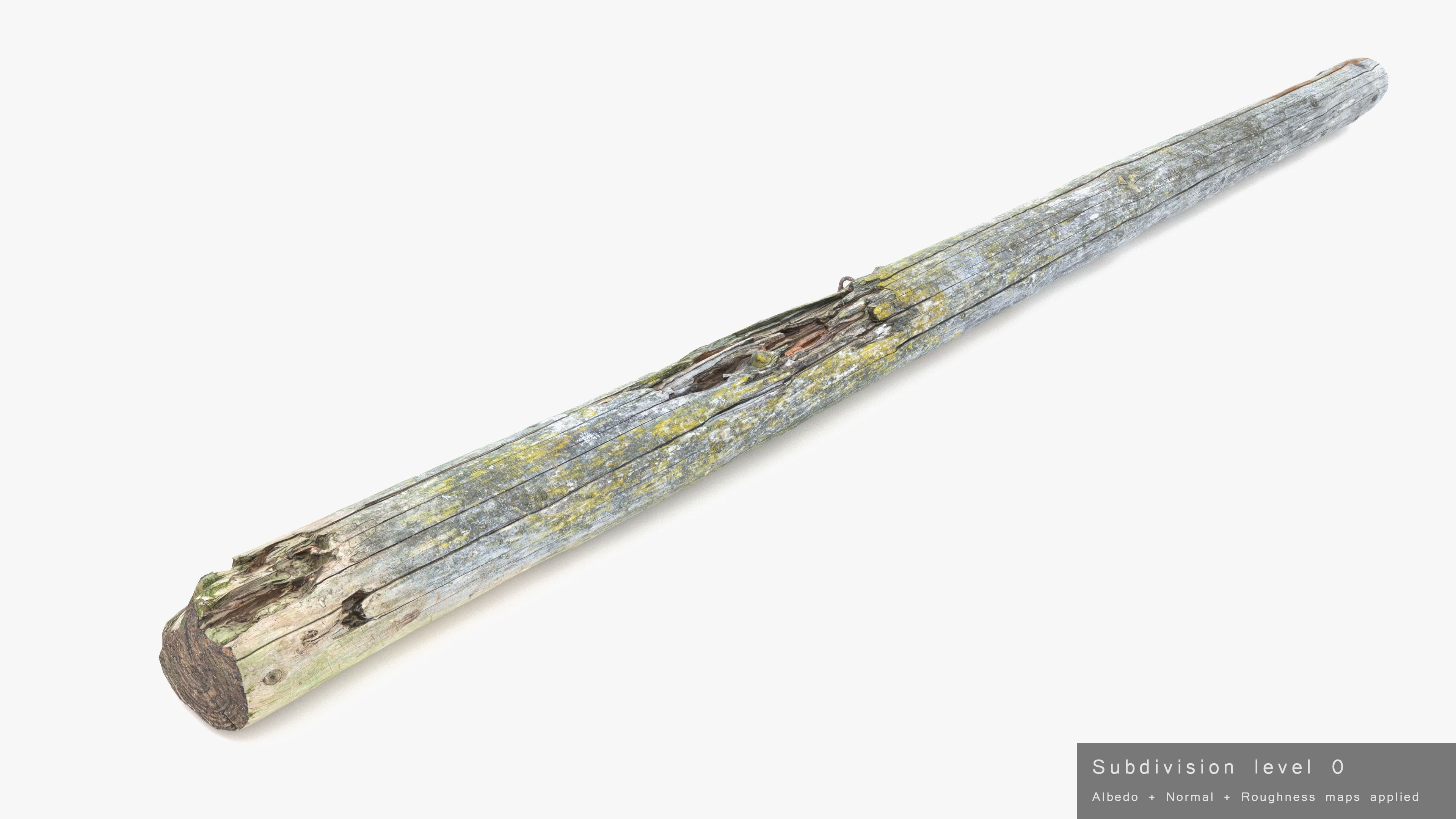 Rotten Pine Log with Lichen Low-poly 3D model_19