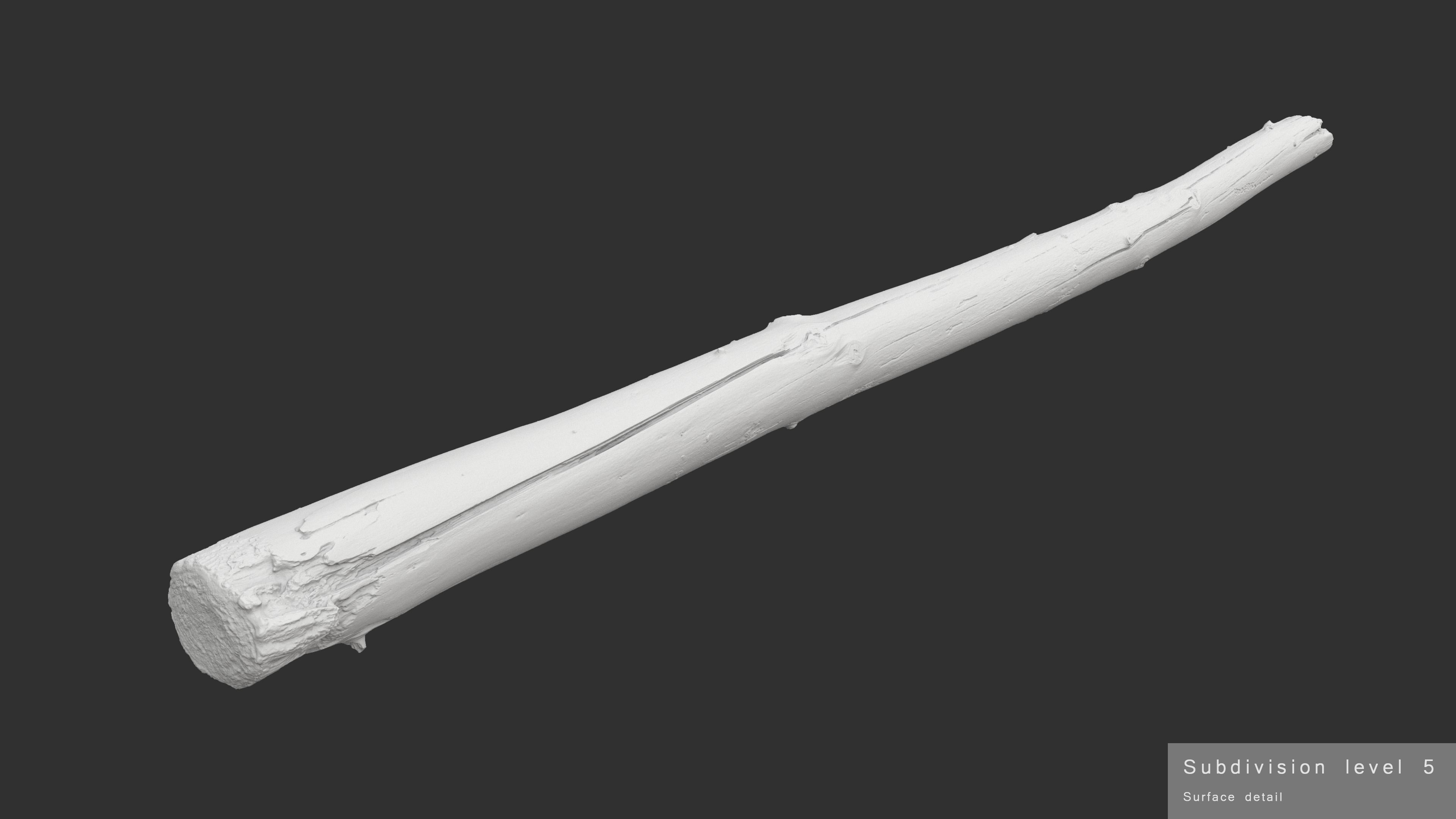 Long Pine Broken Log Low-poly 3D model_19