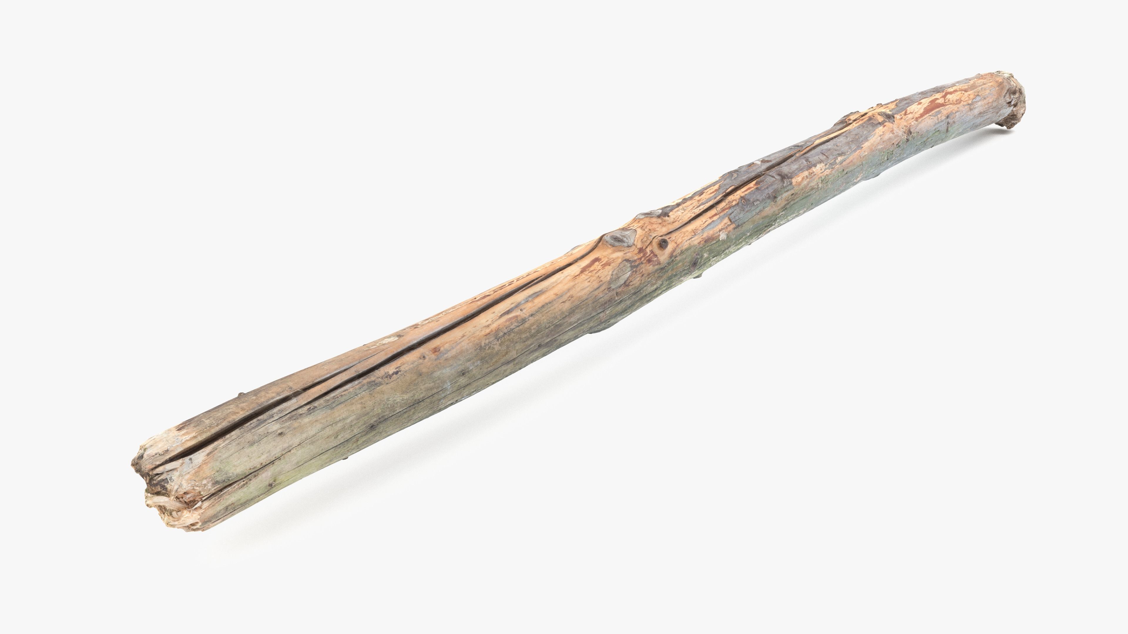 Long Pine Broken Log Low-poly 3D model_7