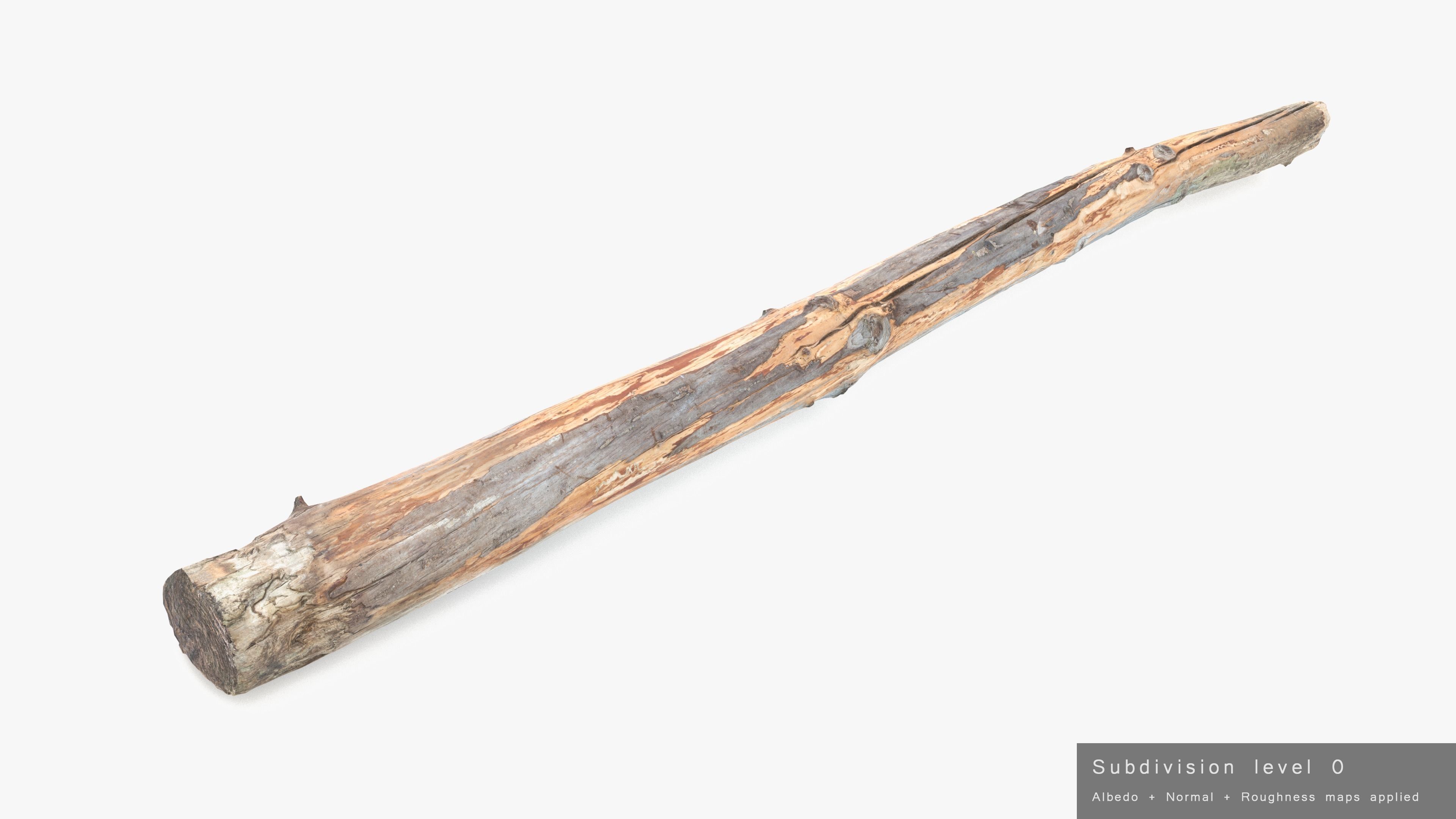 Long Pine Broken Log Low-poly 3D model_23