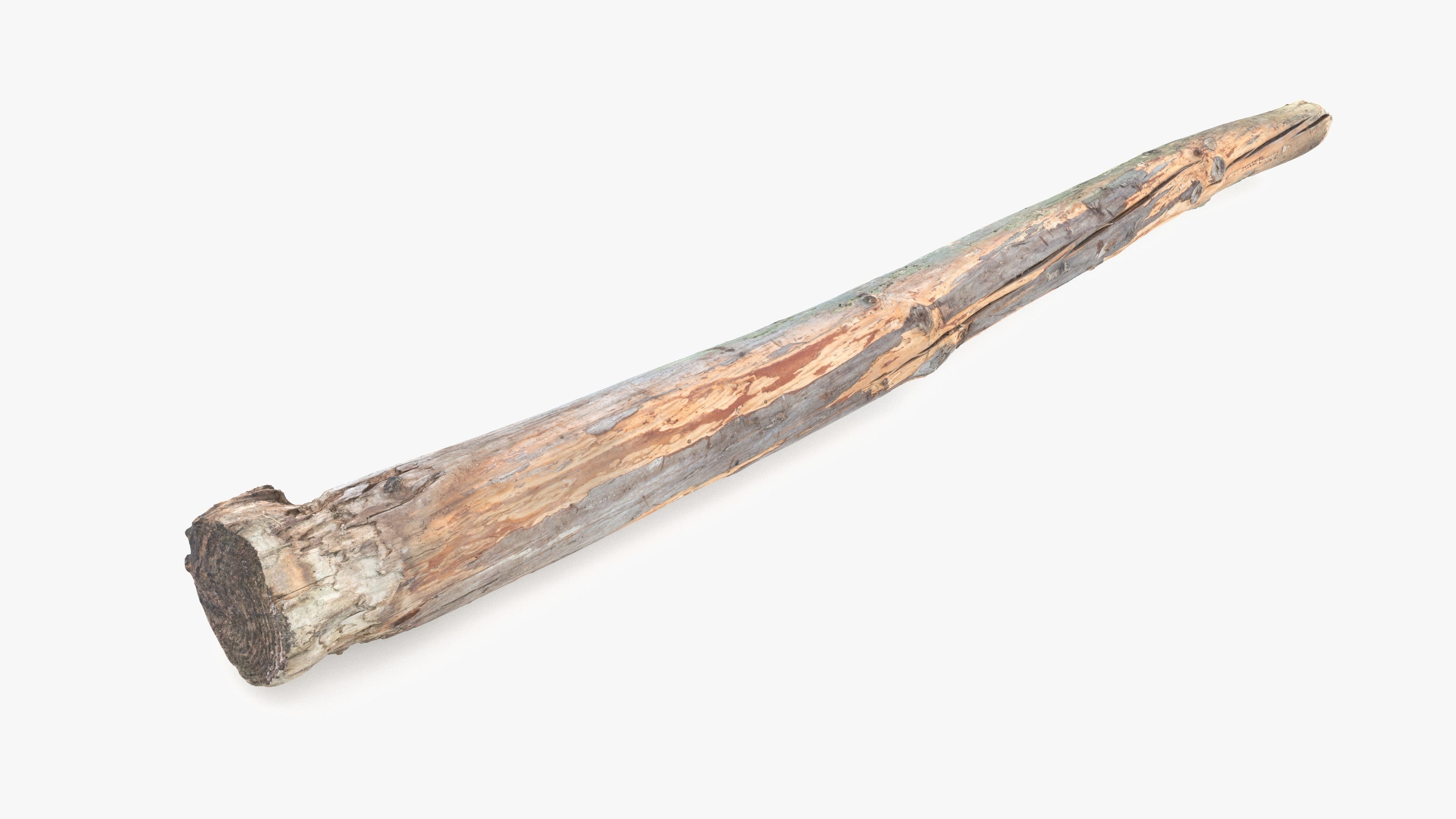 Long Pine Broken Log Low-poly 3D model_2