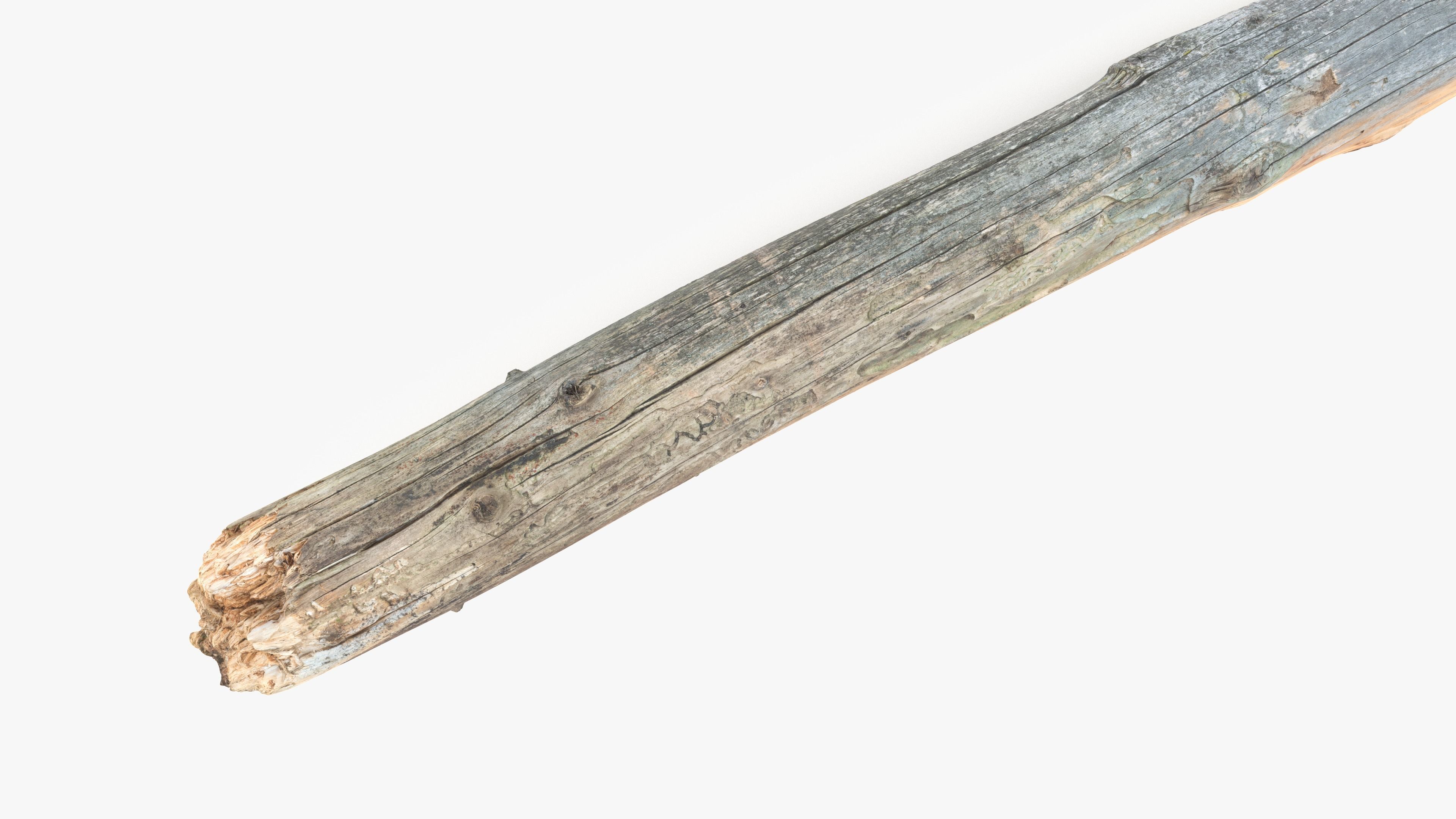 Long Pine Broken Log Low-poly 3D model_9