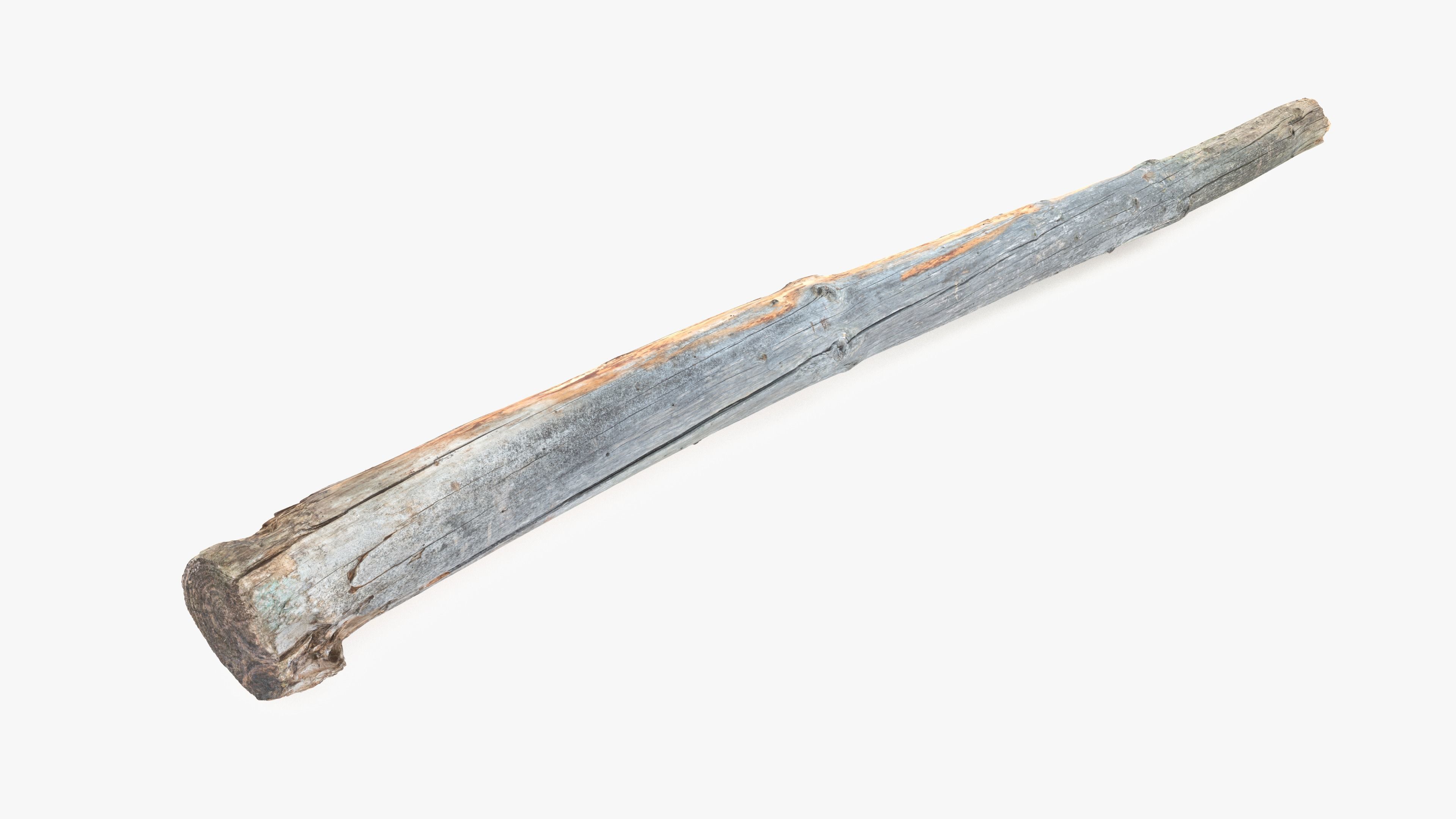 Long Pine Broken Log Low-poly 3D model_14