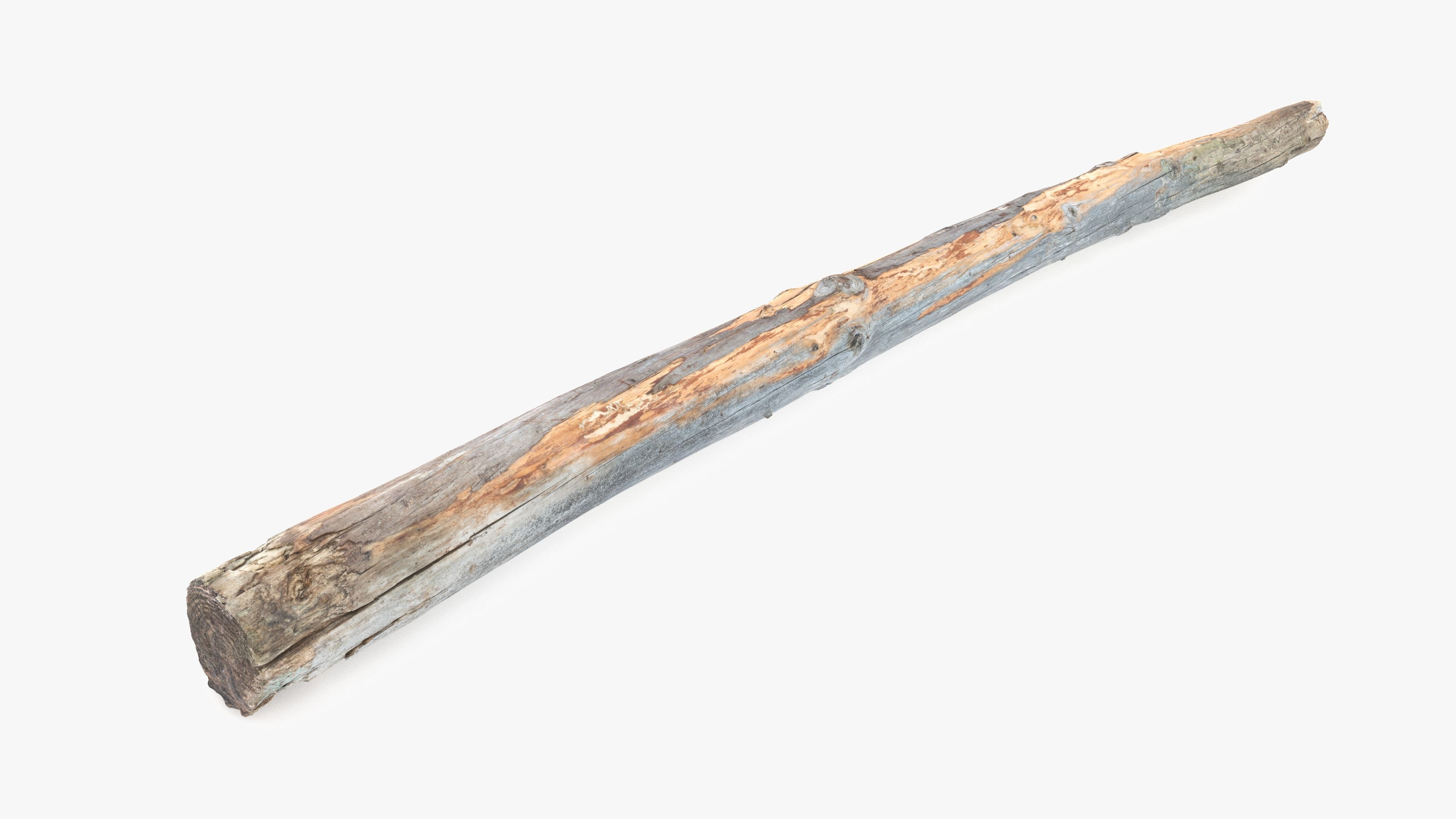 Long Pine Broken Log Low-poly 3D model_15