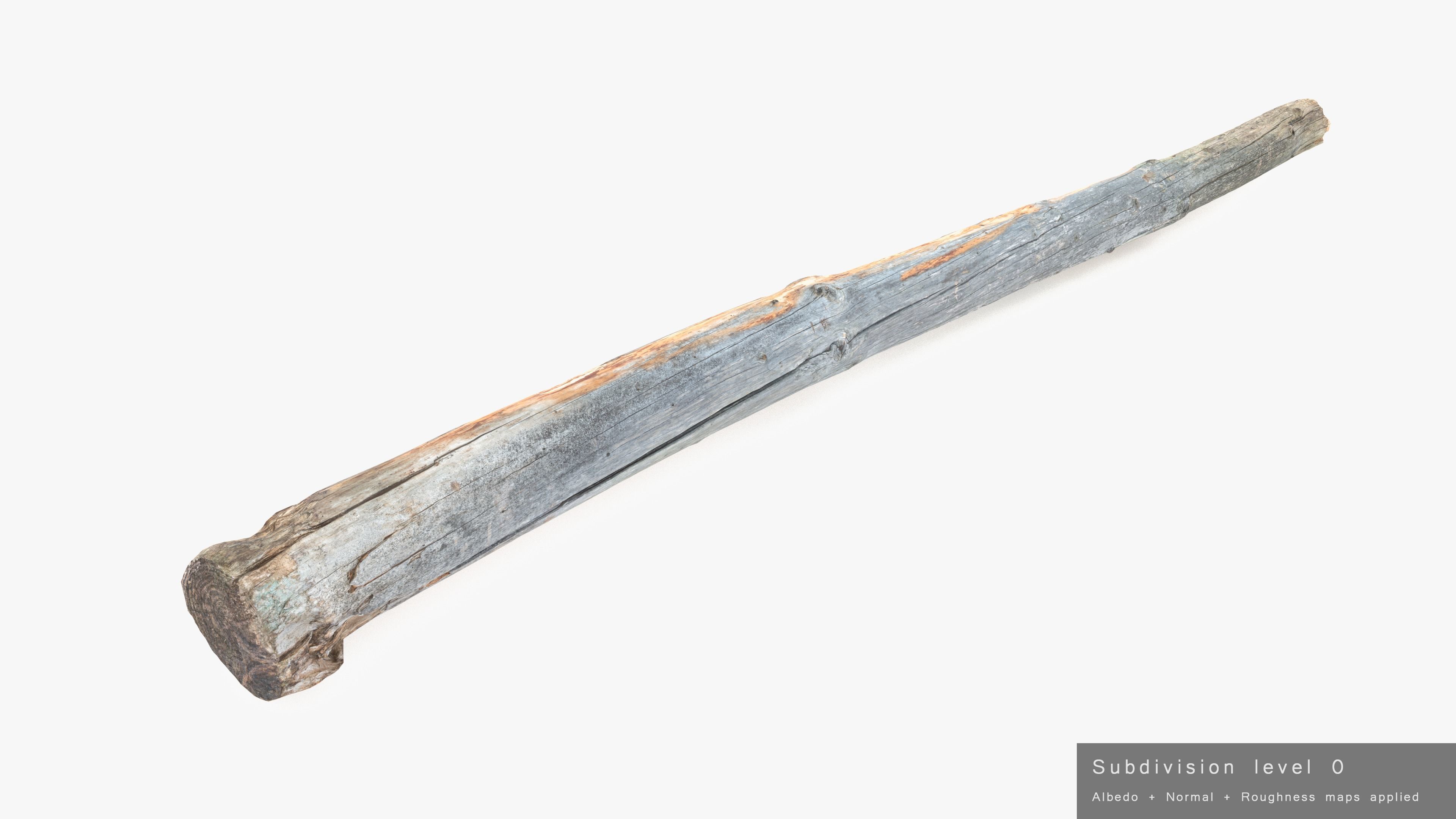 Long Pine Broken Log Low-poly 3D model_21