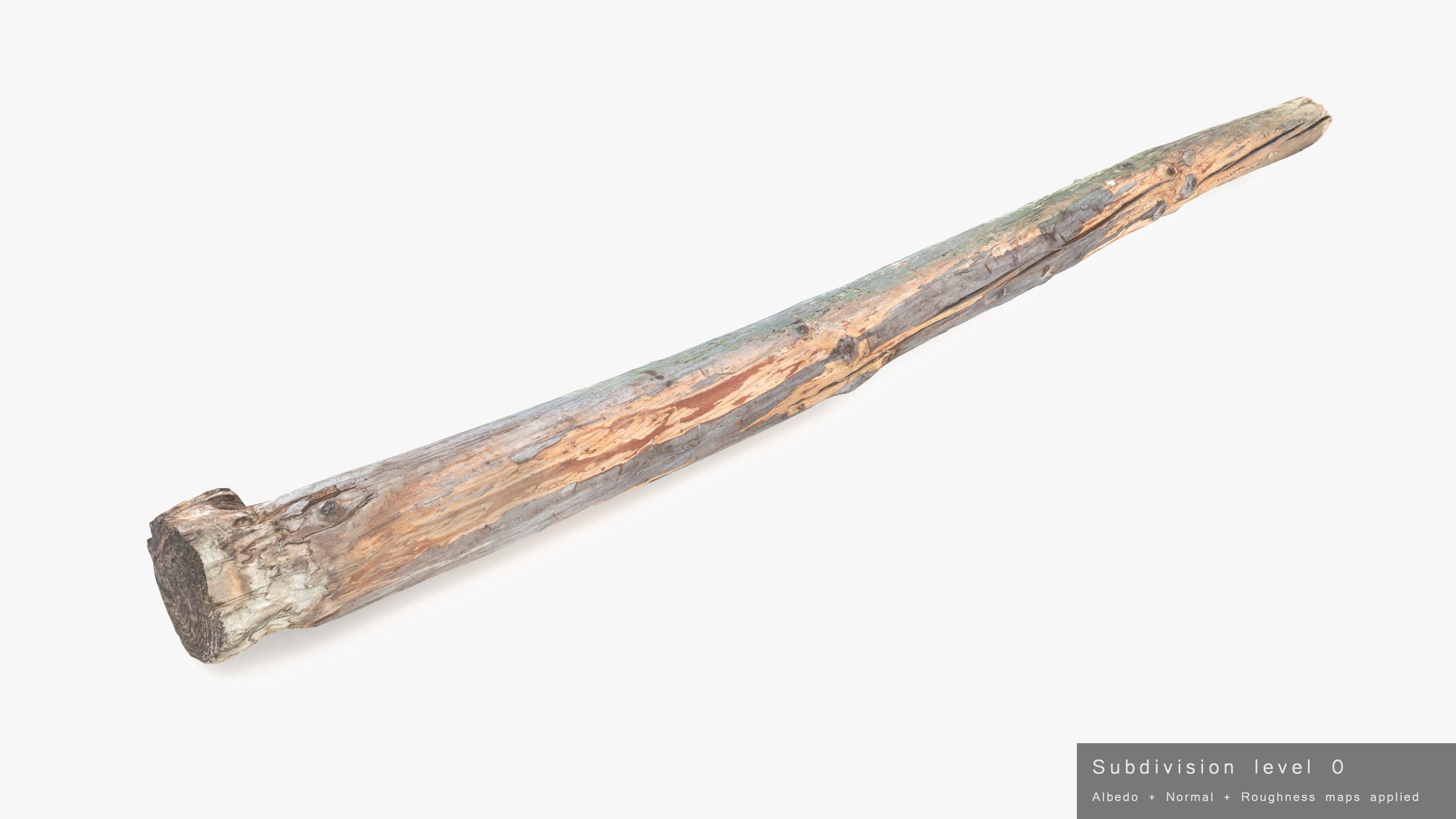 Long Pine Broken Log Low-poly 3D model_24