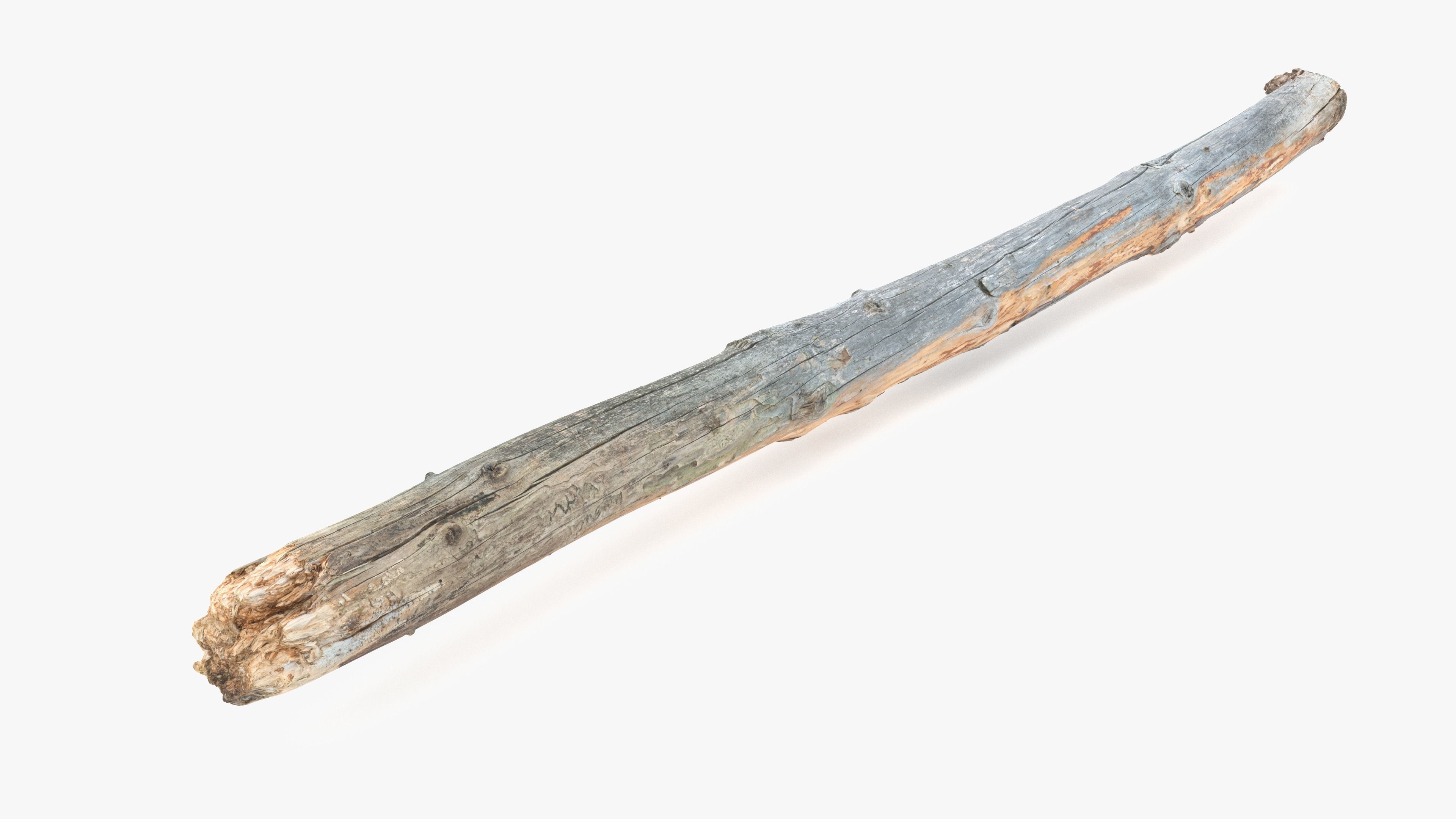 Long Pine Broken Log Low-poly 3D model_6