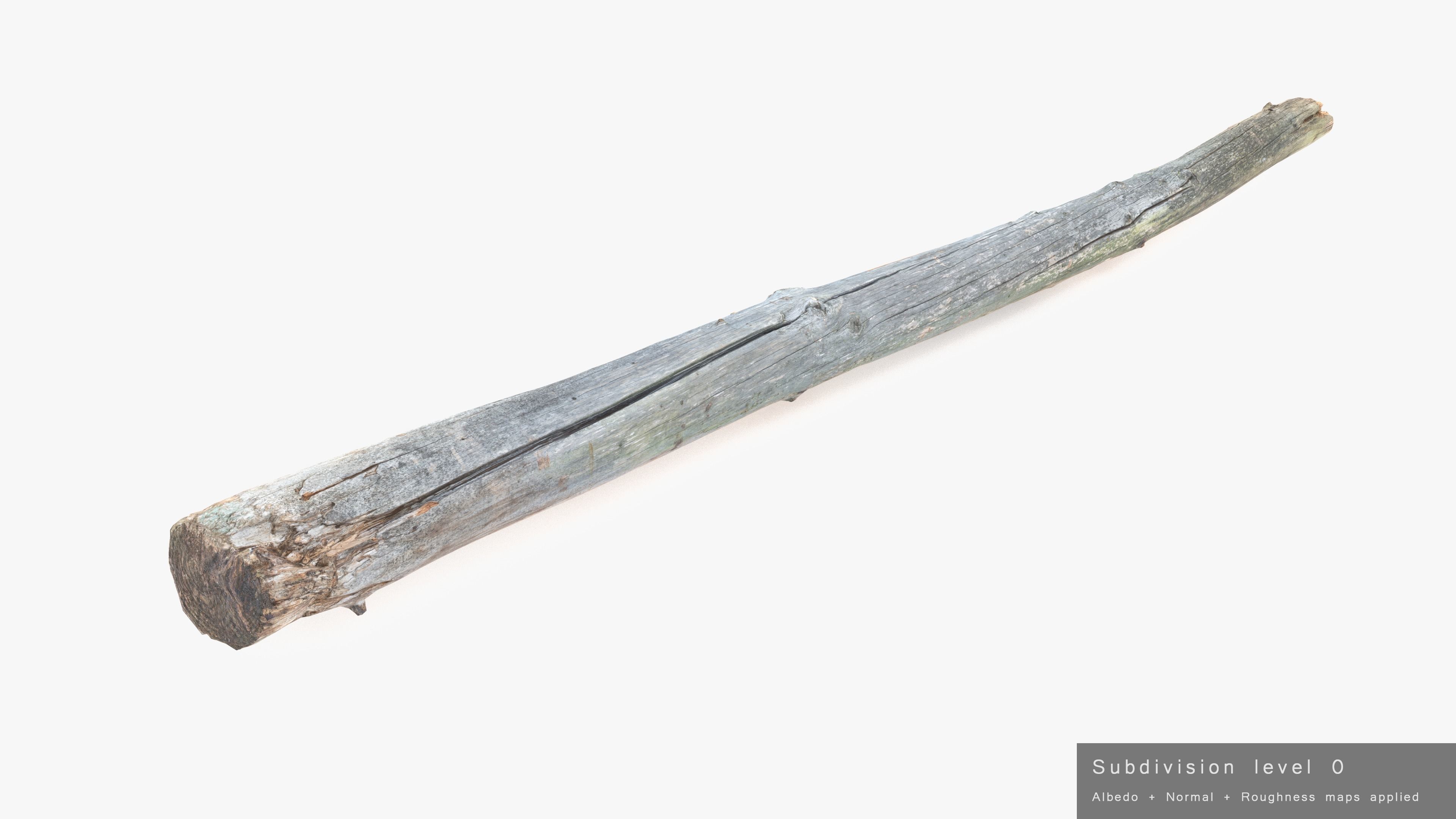 Long Pine Broken Log Low-poly 3D model_20