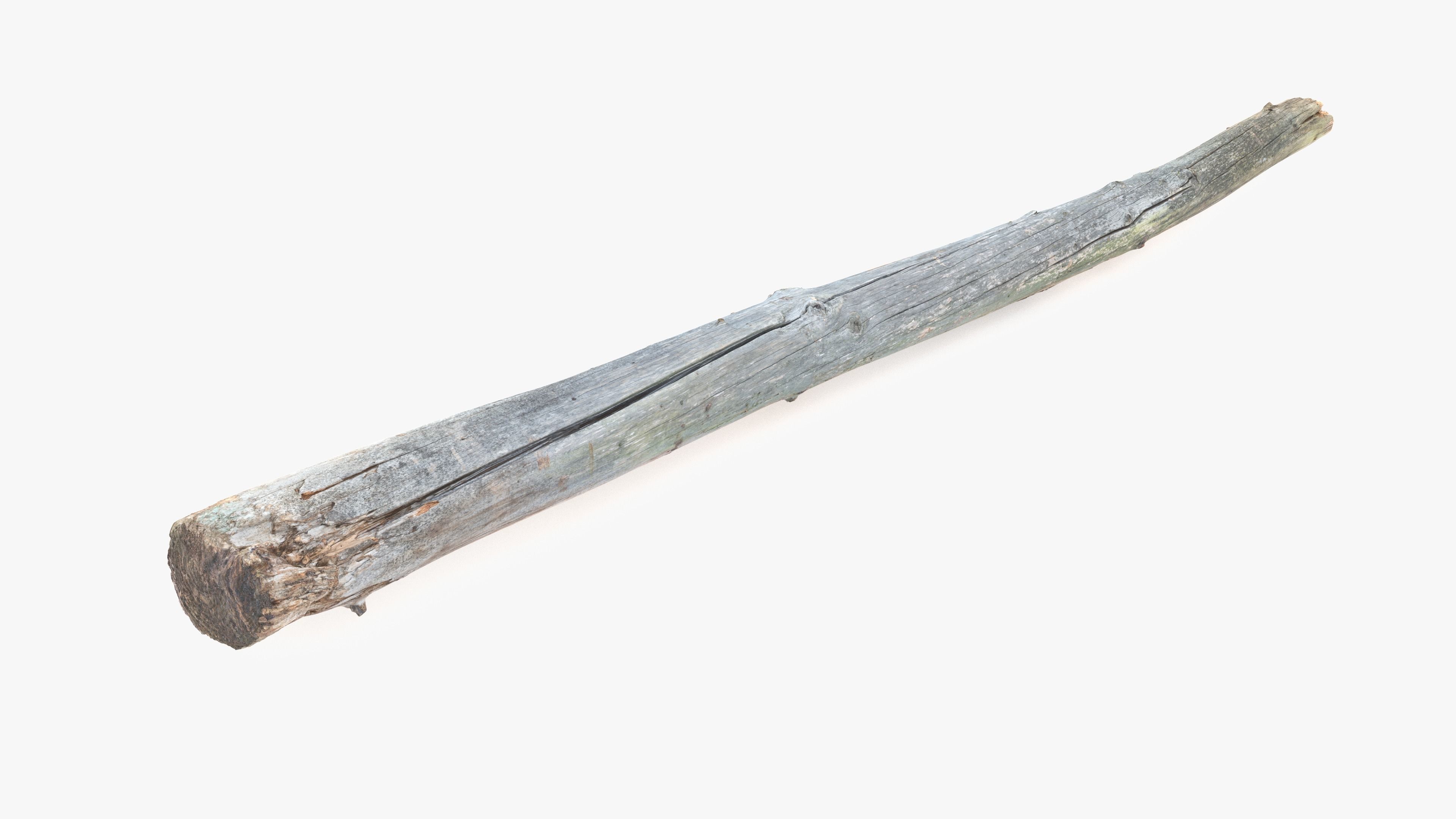 Long Pine Broken Log Low-poly 3D model_13