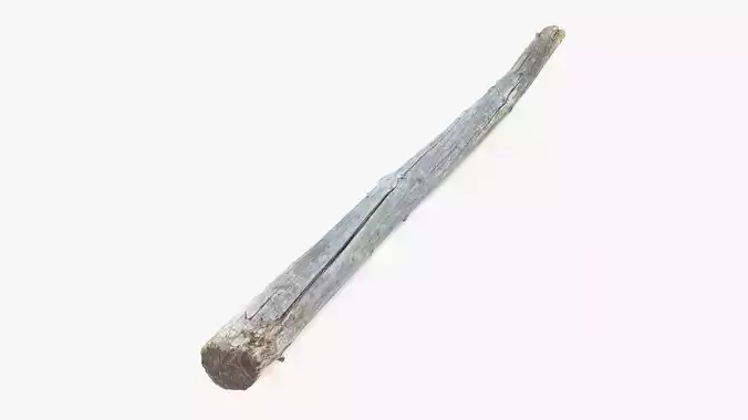 Long Pine Broken Log Low-poly 3D model