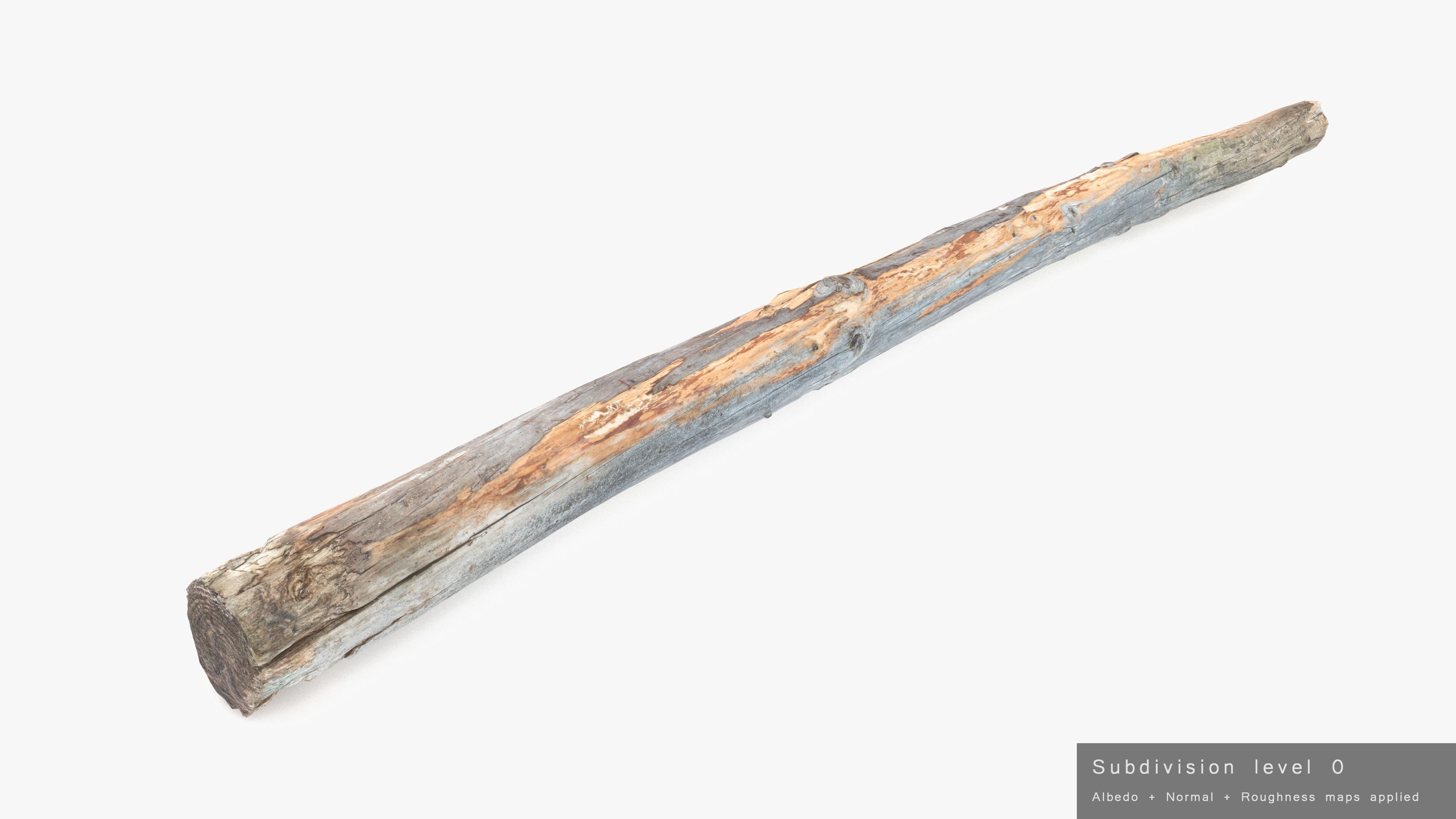 Long Pine Broken Log Low-poly 3D model_22