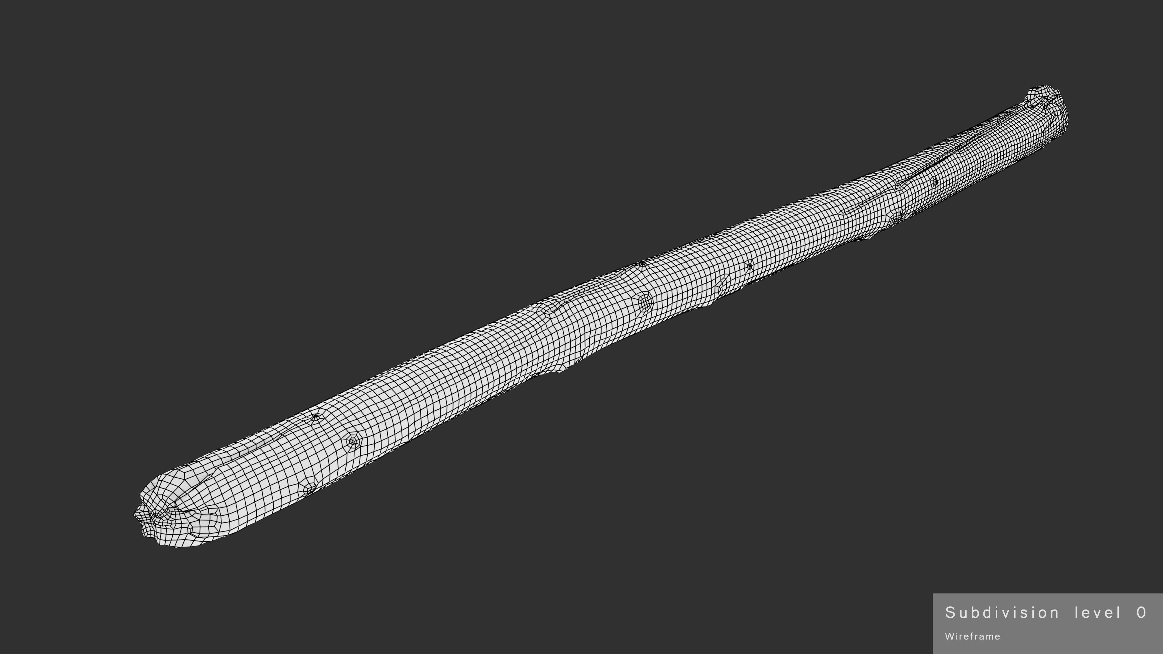 Long Pine Broken Log Low-poly 3D model_30