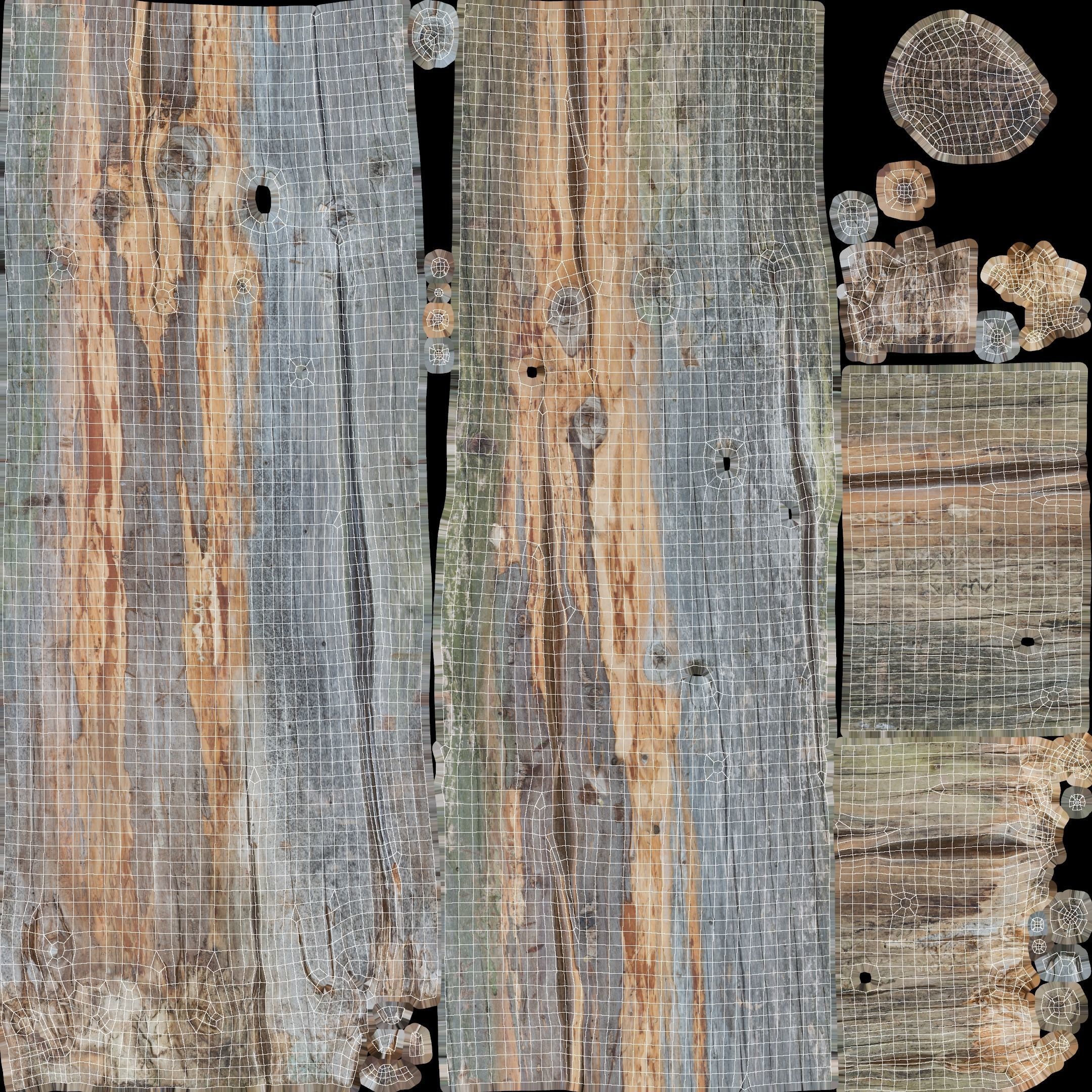 Long Pine Broken Log Low-poly 3D model_31