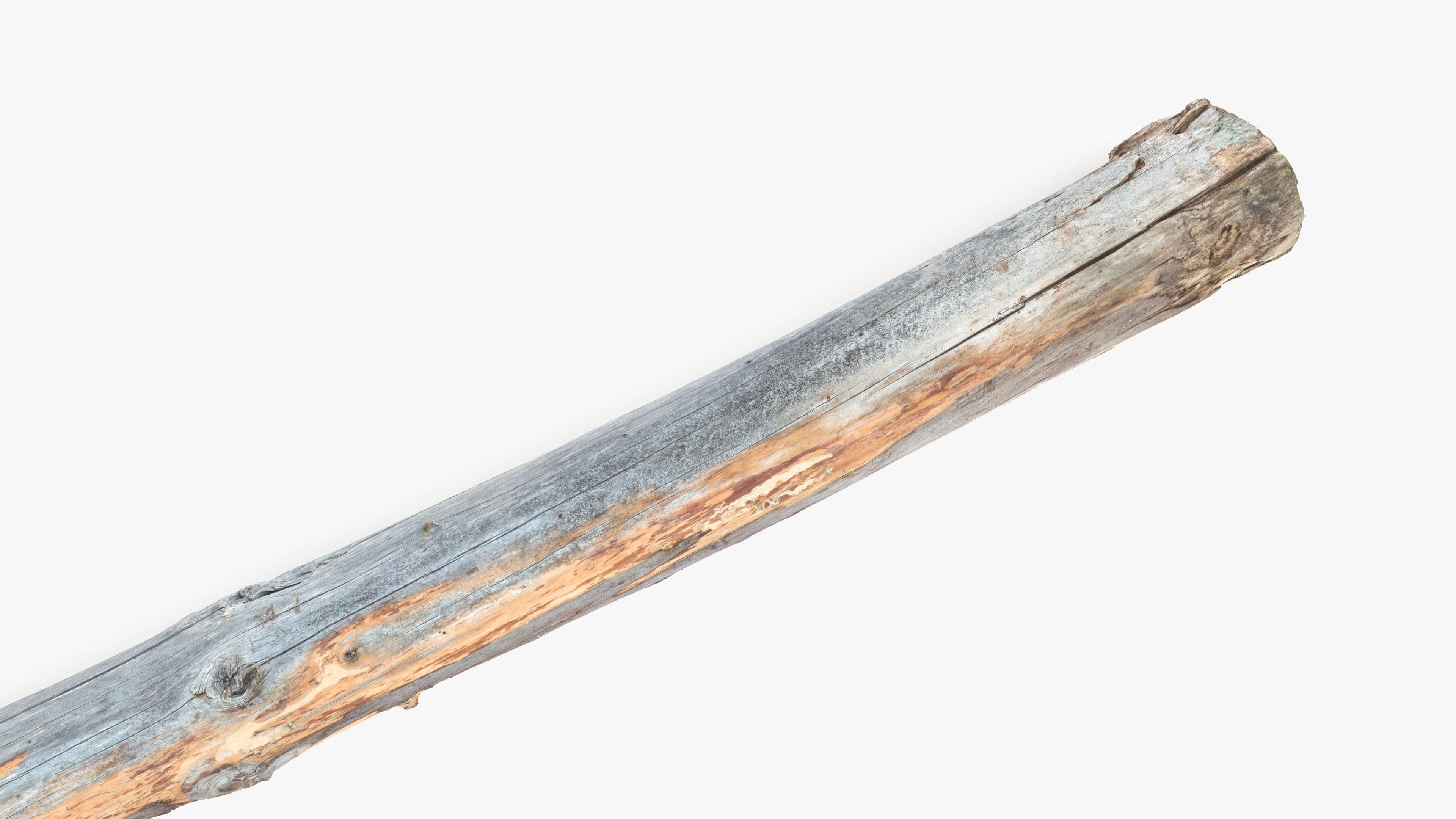 Long Pine Broken Log Low-poly 3D model_12