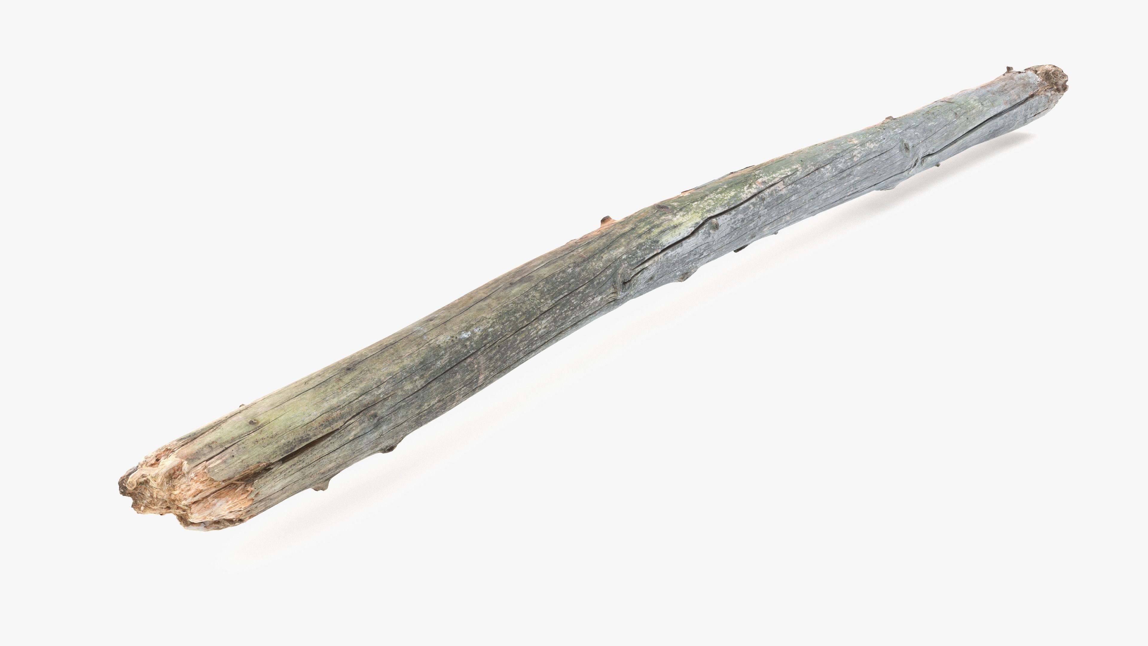 Long Pine Broken Log Low-poly 3D model_8