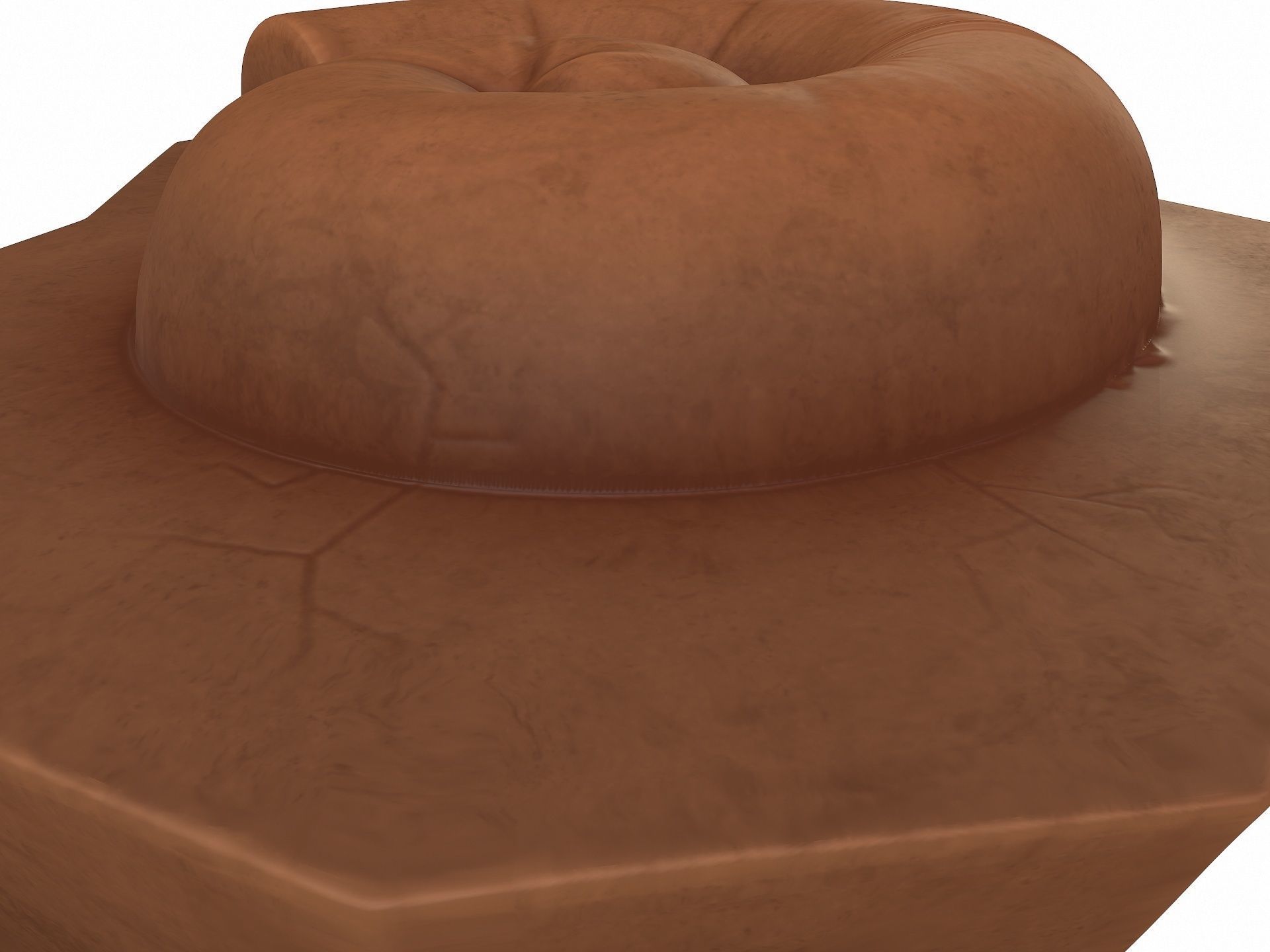 Fossil Ammonite 3D model_5