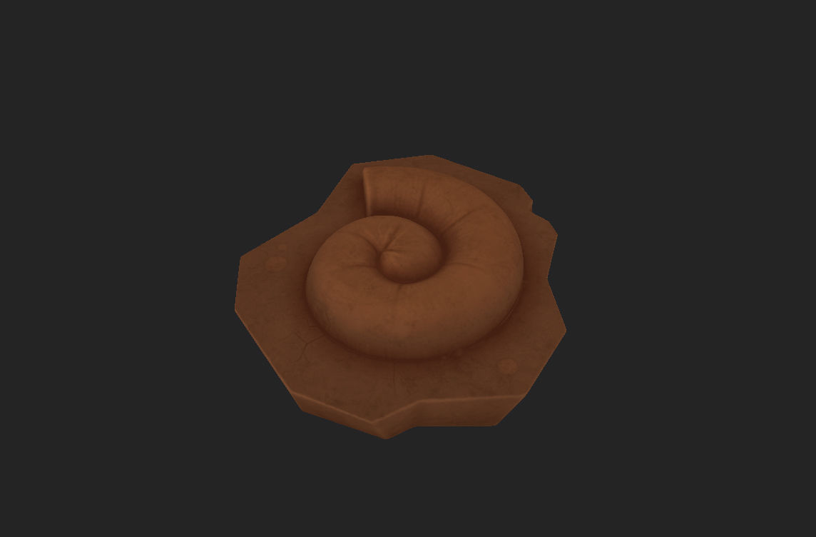 Fossil Ammonite 3D model_10
