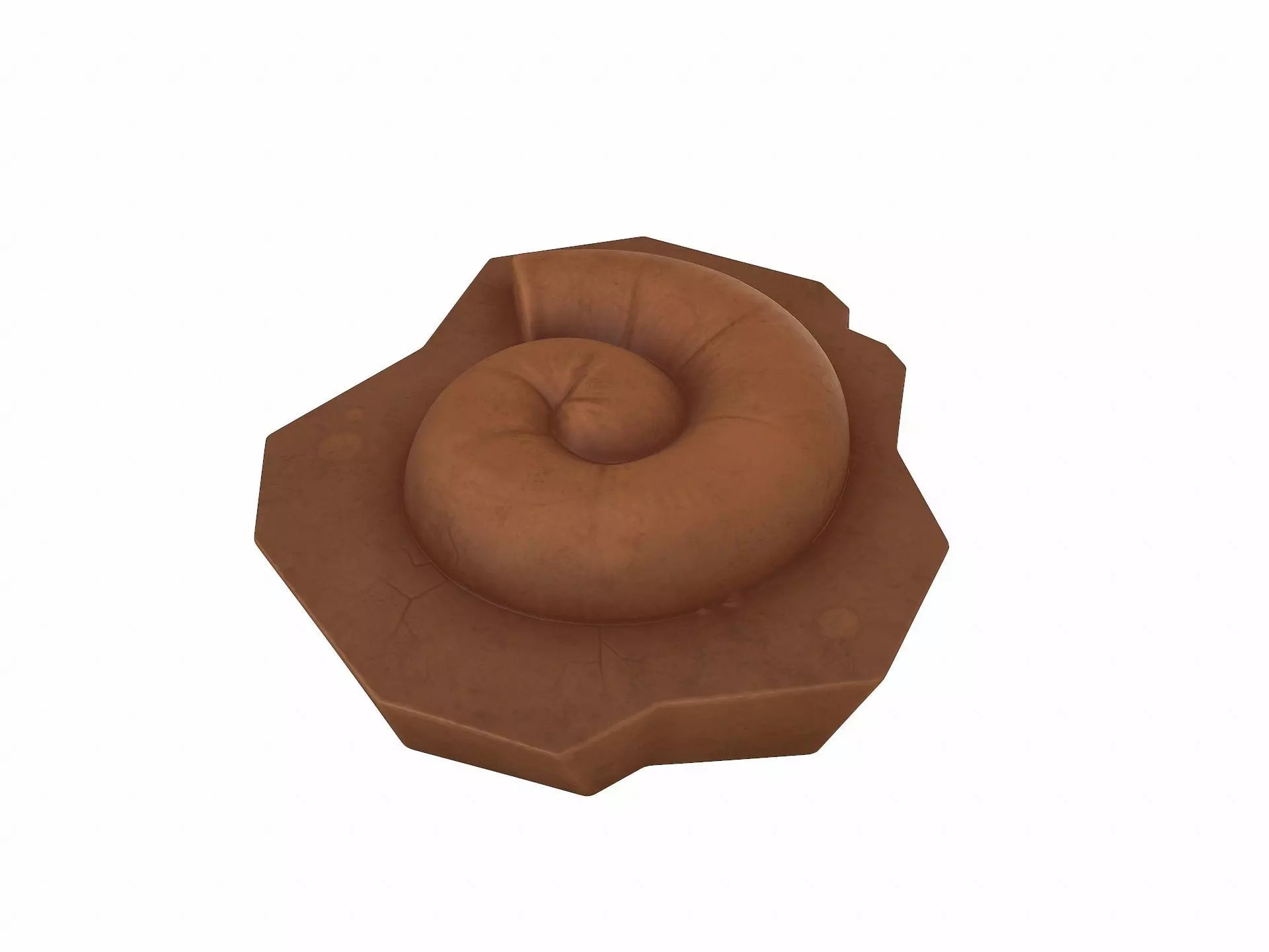 Fossil Ammonite 3D model_0