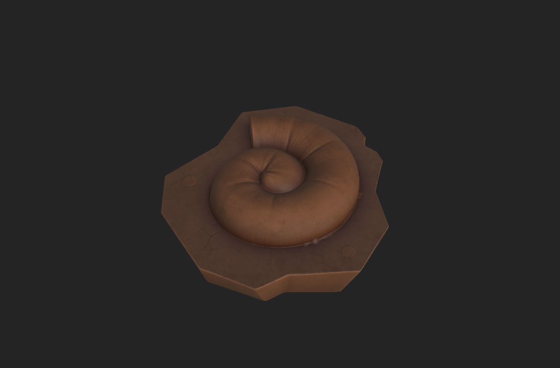 Fossil Ammonite 3D model_9