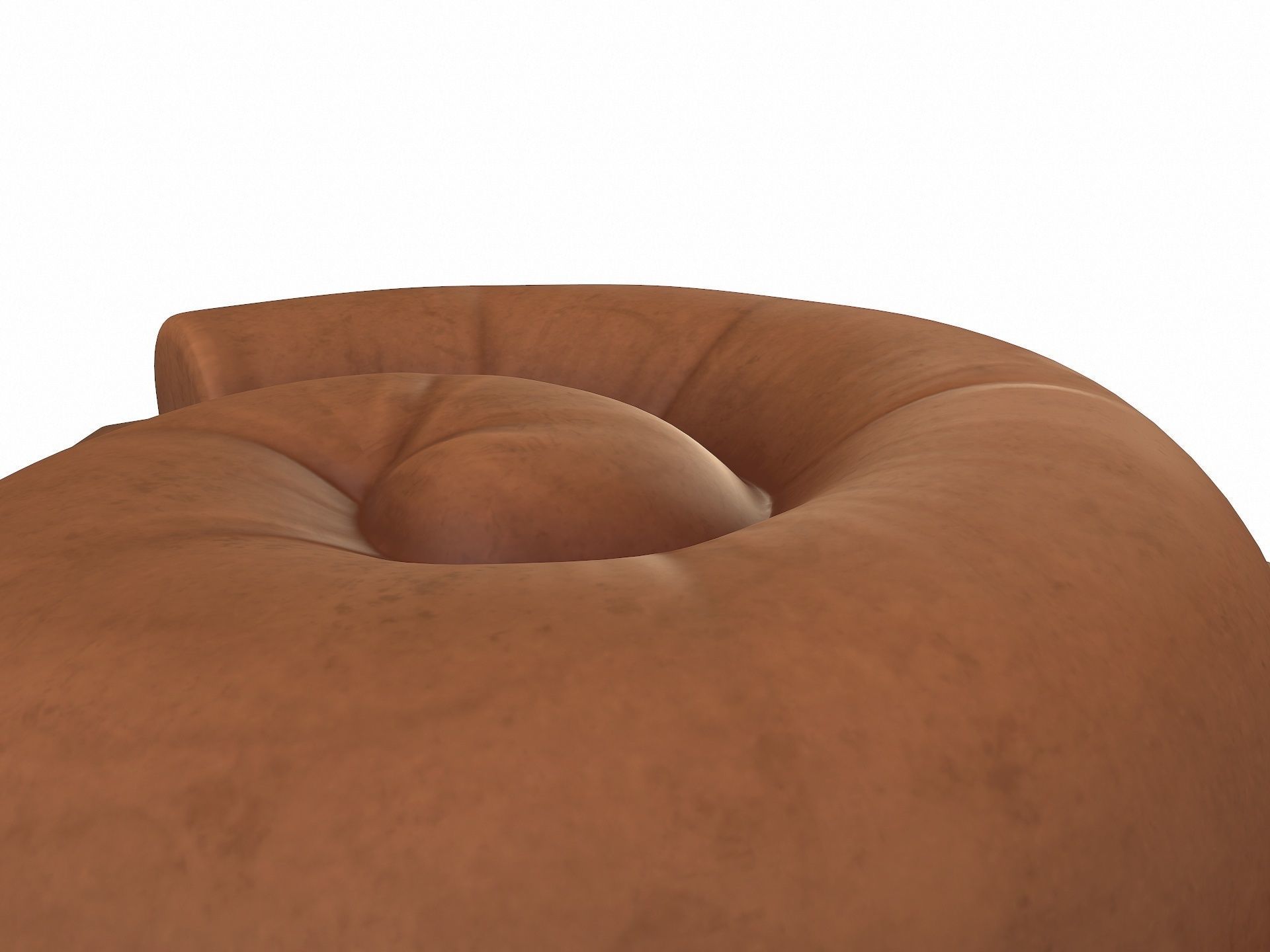 Fossil Ammonite 3D model_6