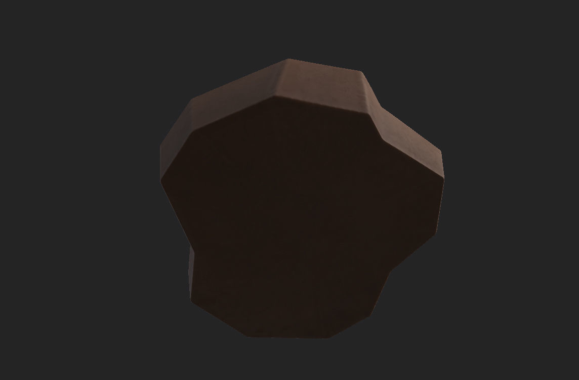 Fossil Ammonite 3D model_16