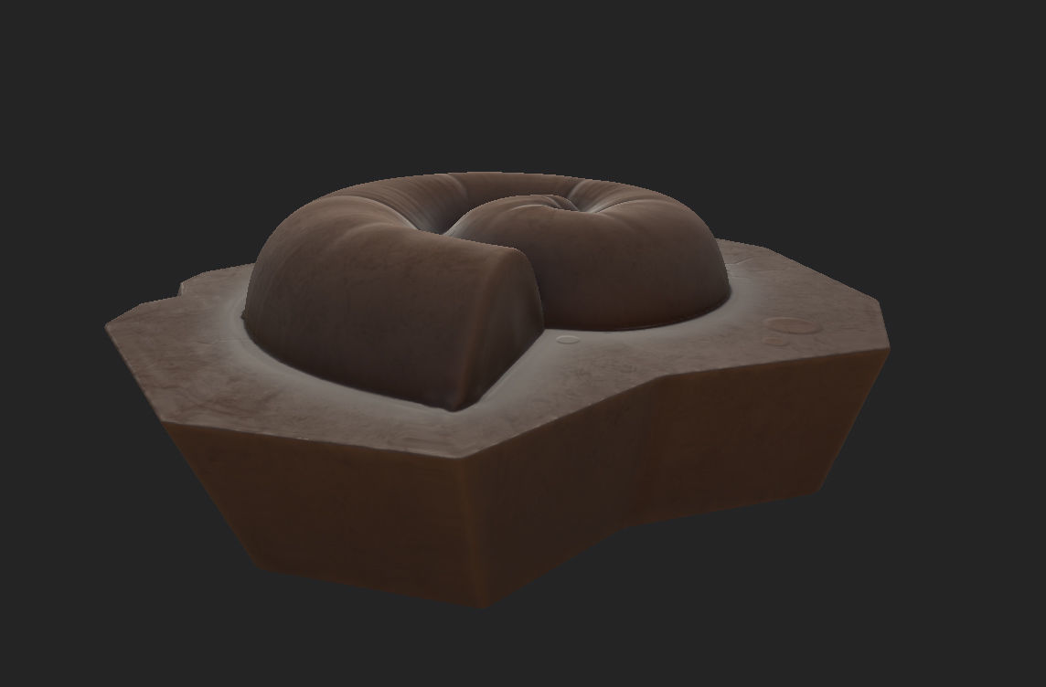 Fossil Ammonite 3D model_15