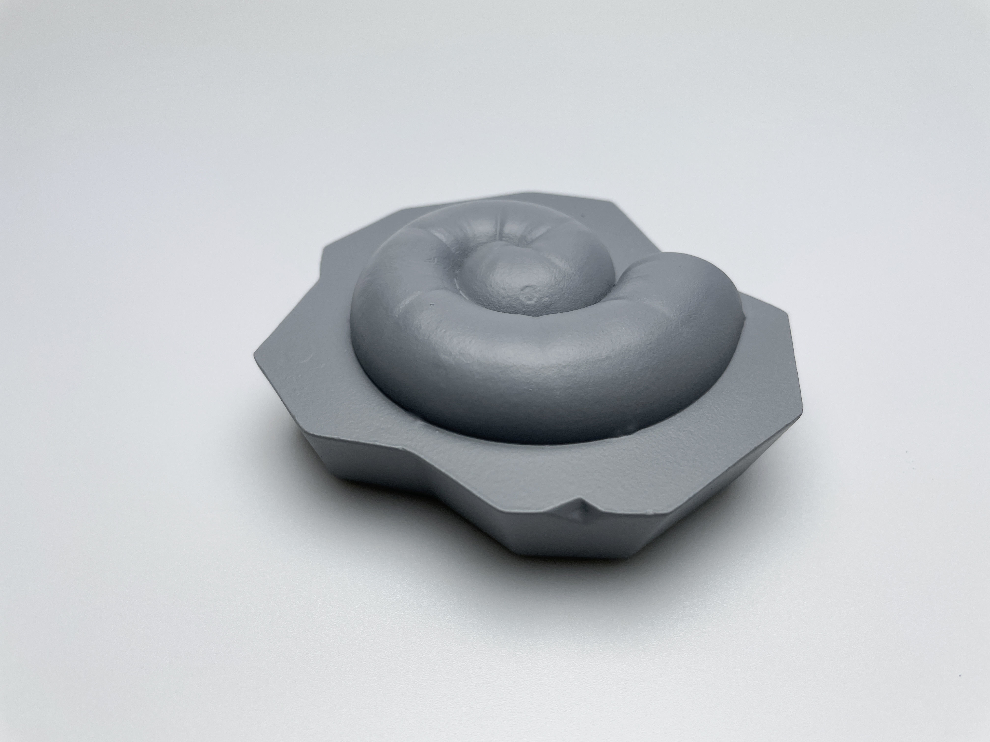 Fossil Ammonite 3D model_1