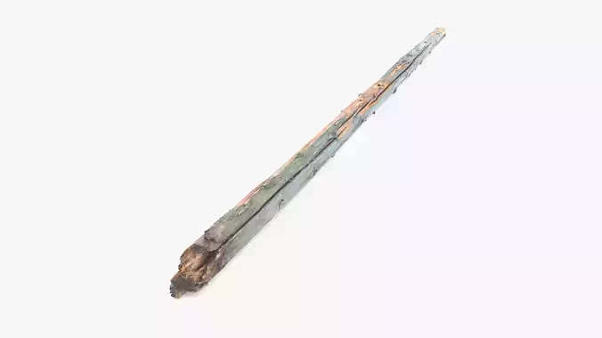 Long Pine Rotten Log